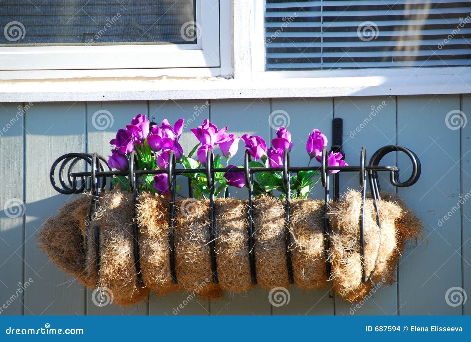 Window flower basket stock photo. Image of windowsill, black 687594