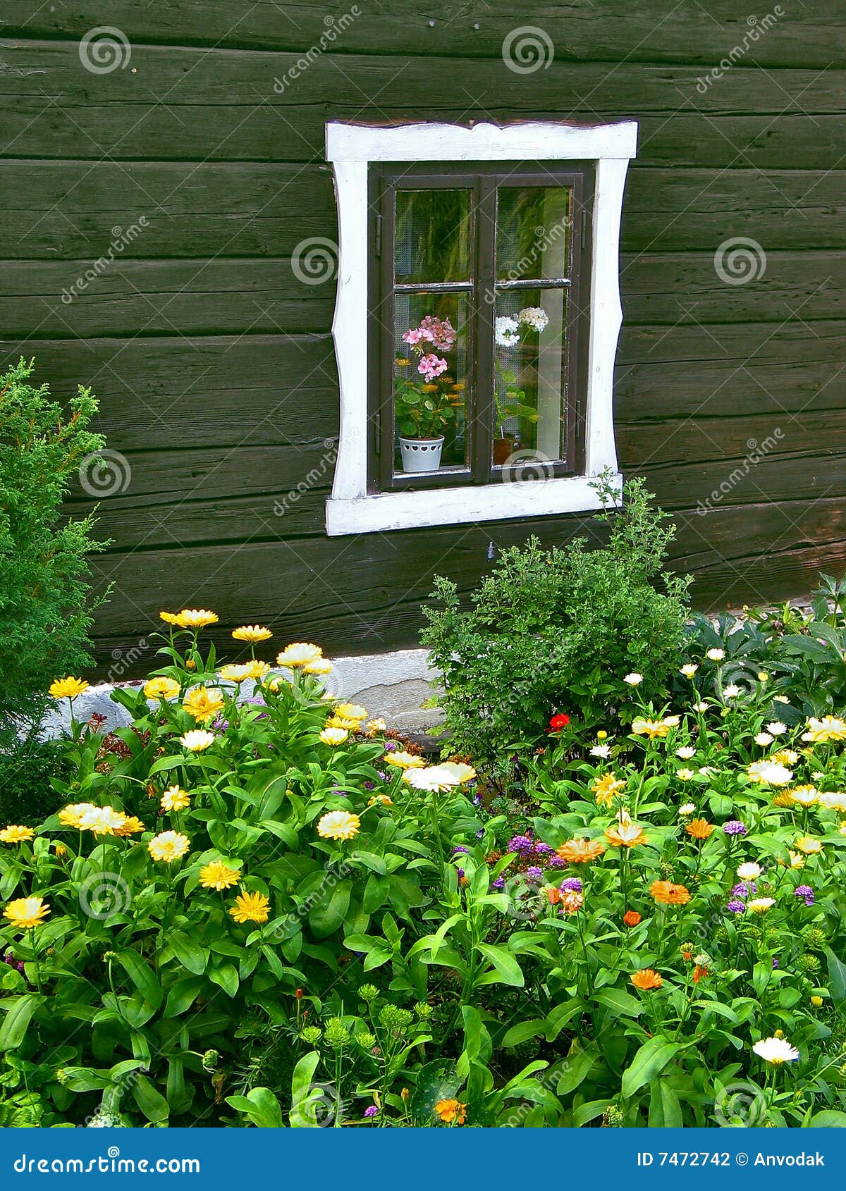 Window with a flowerbed stock photo. Image of flower 7472742