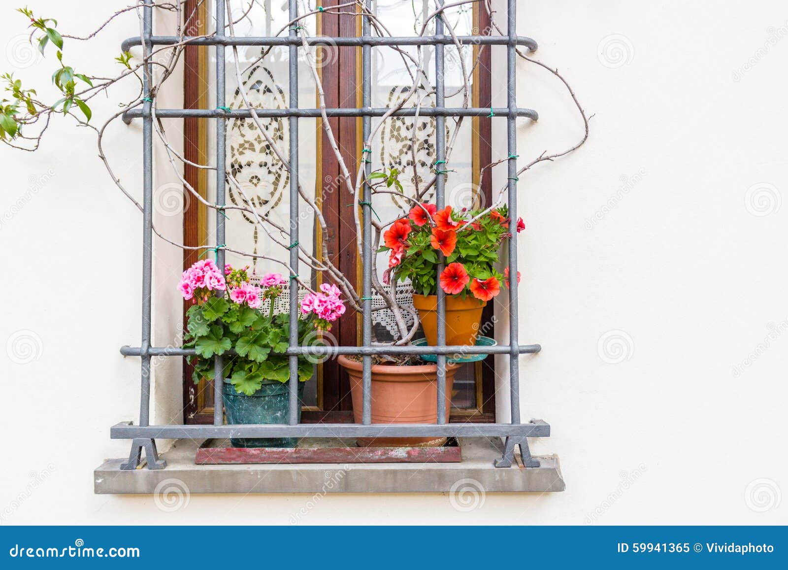Window with flower pots stock image. Image of glass, wall 59941365