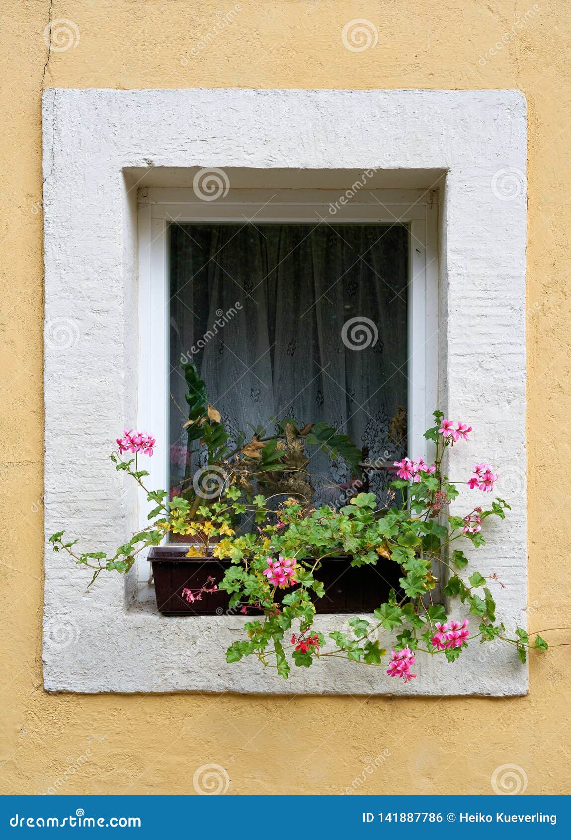Window of a House with Geraniums Stock Photo - Image of plate, geranium ...