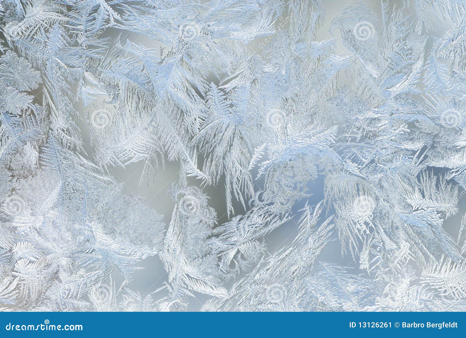 window ice crystals