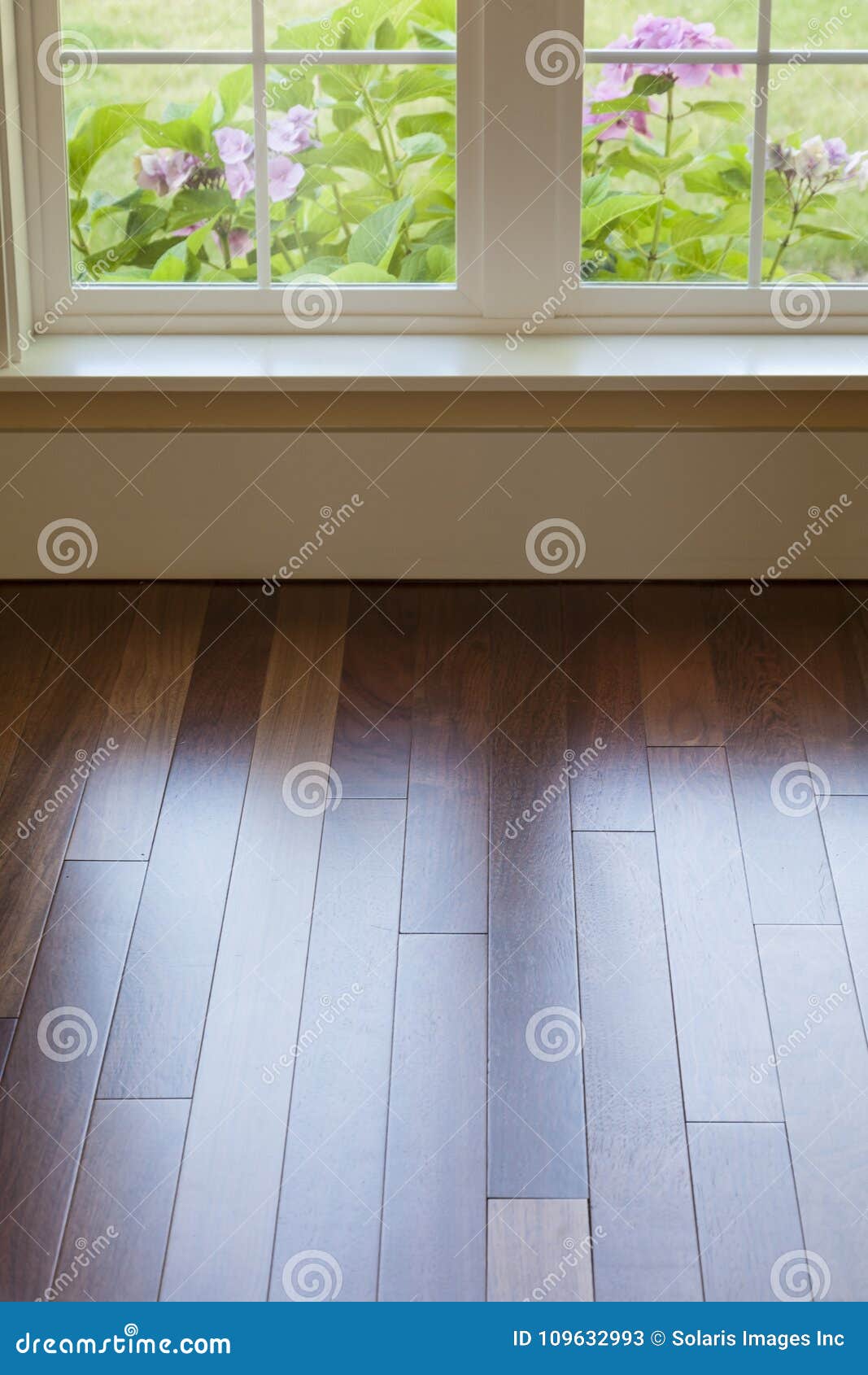 Window Light Reflecting Shining On Clean Polished Wood Floor In