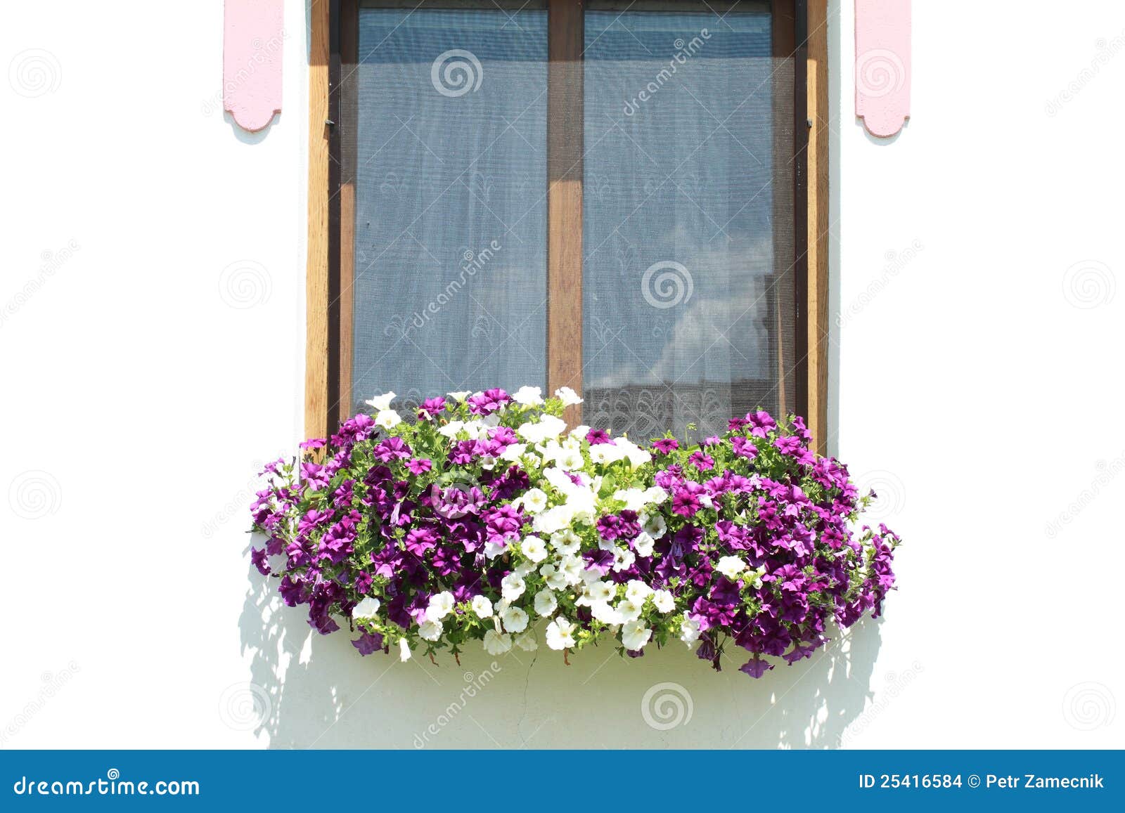 window with lila and white flowers