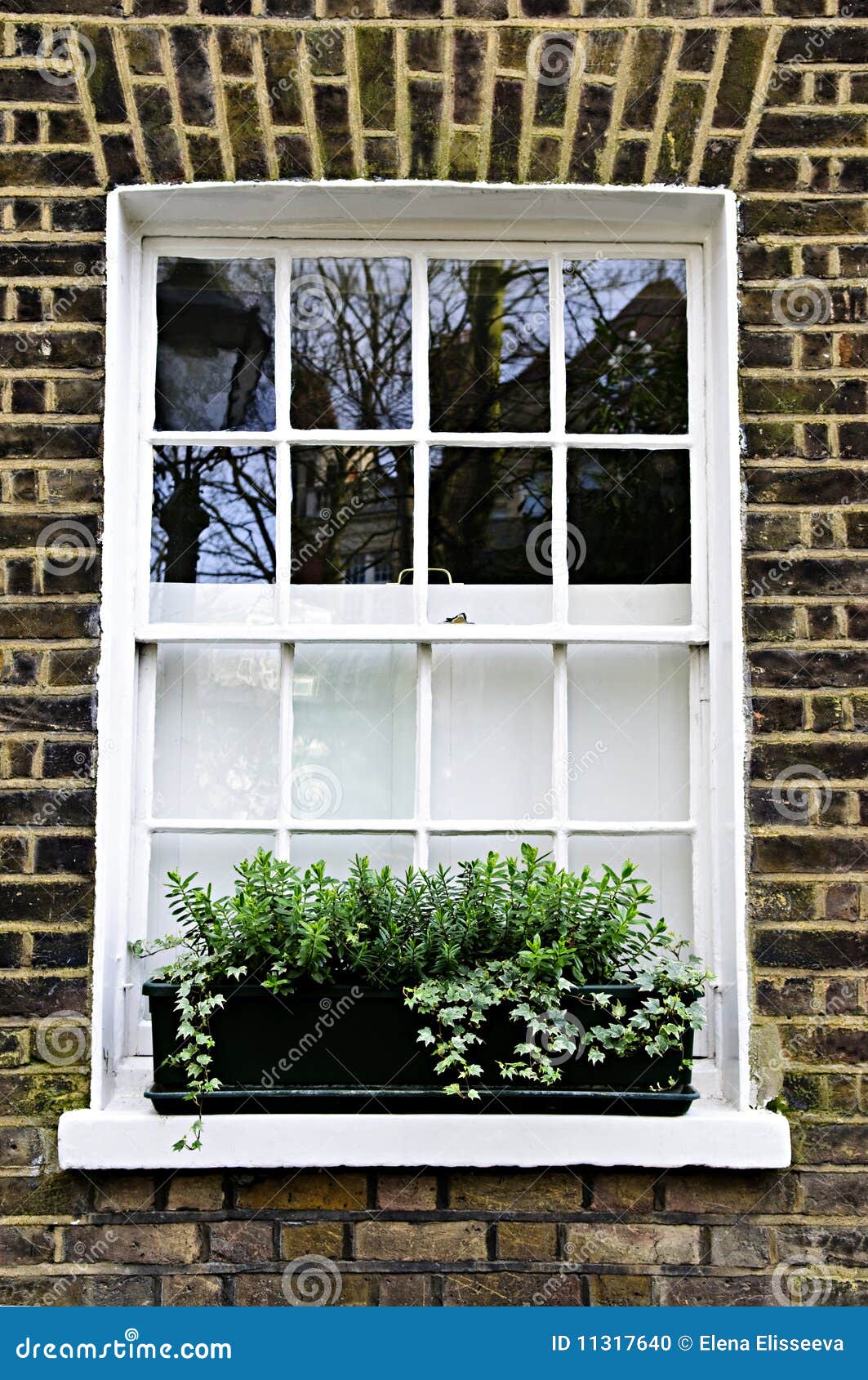 Window in London stock photo. Image of european, homes 11317640