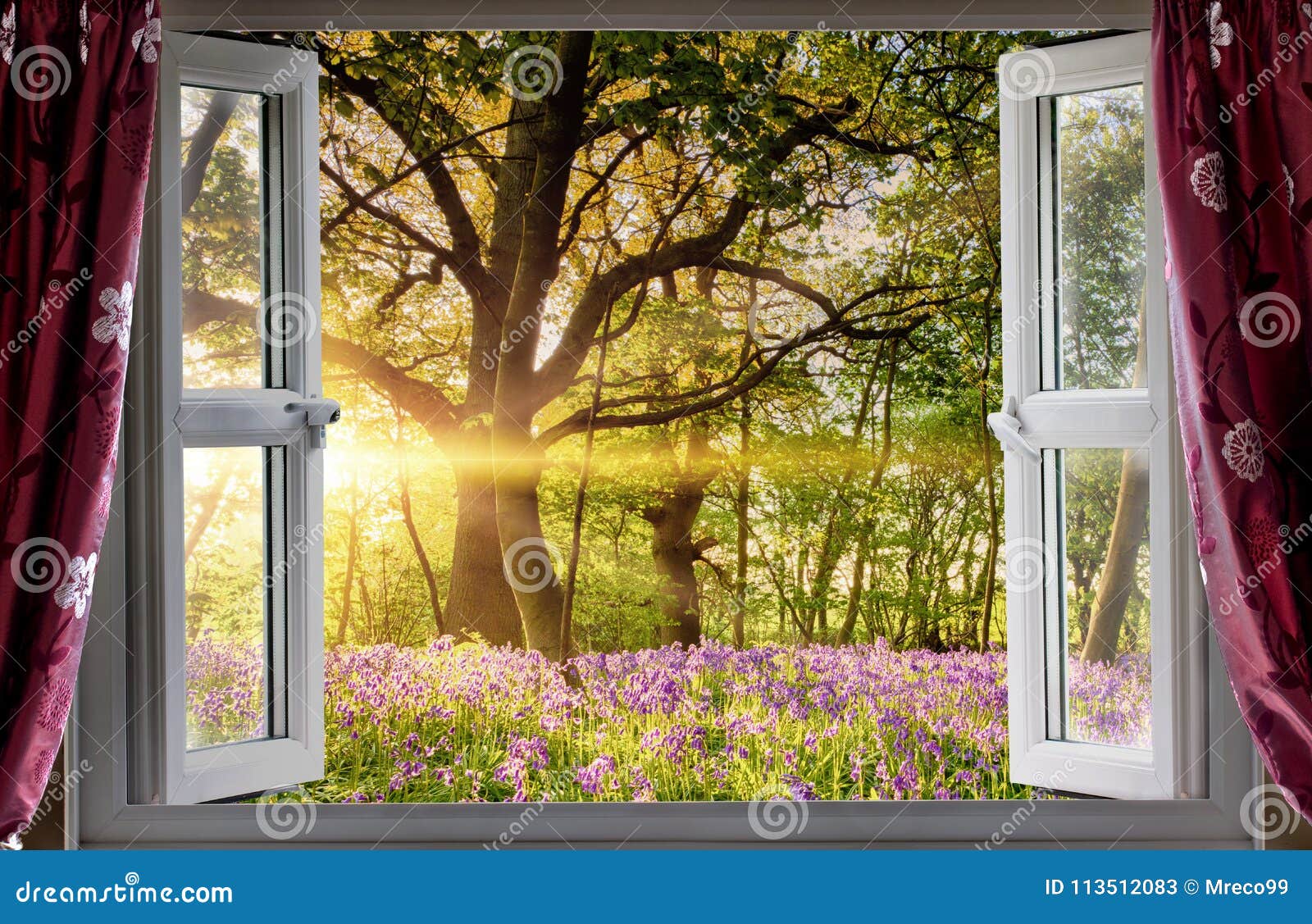 Window Open Onto Bluebell Forest Sunrise Stock Image - Image of ... Open Window At Morning