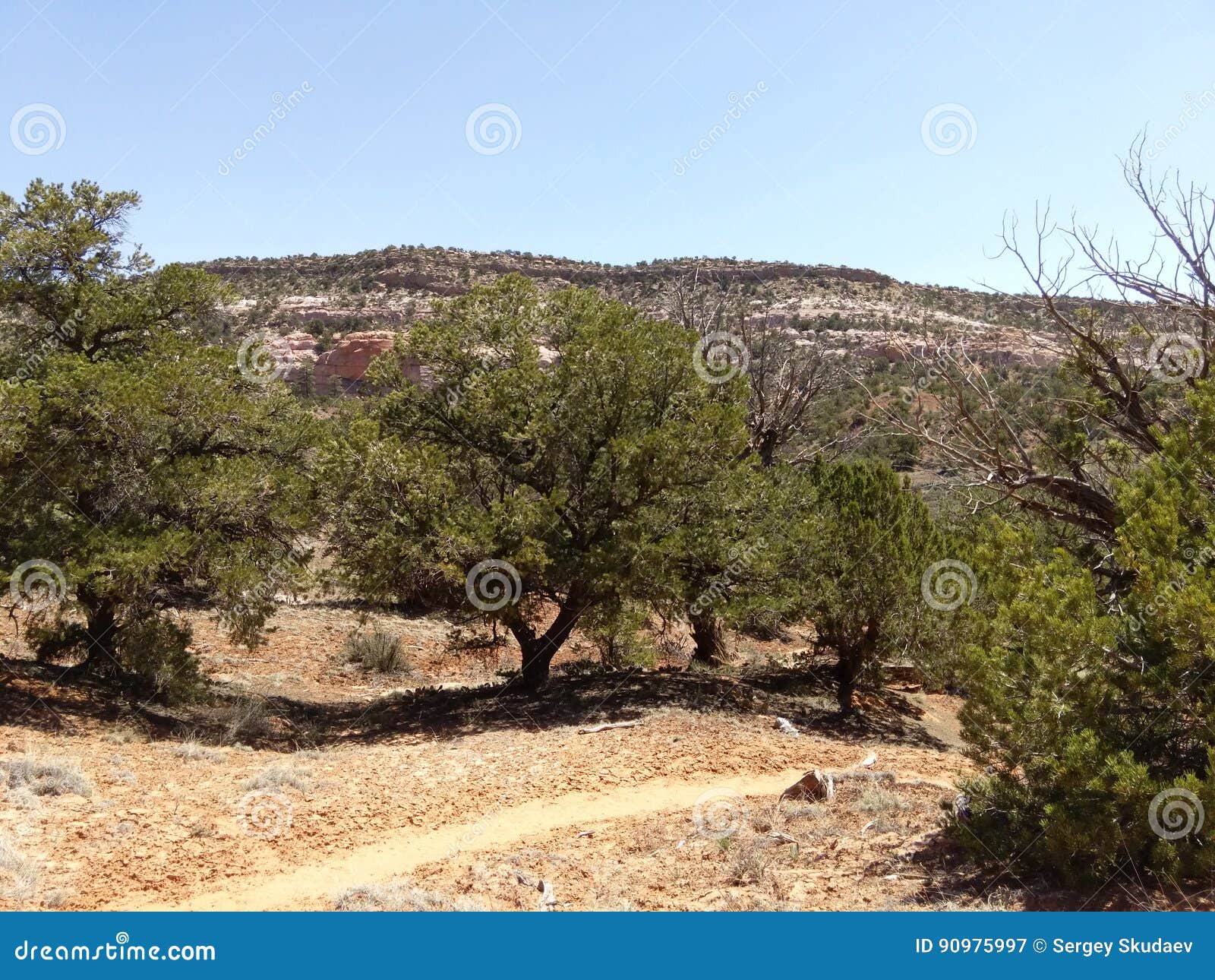 Window Rock Trail stock image. Image of loop, america 90975997