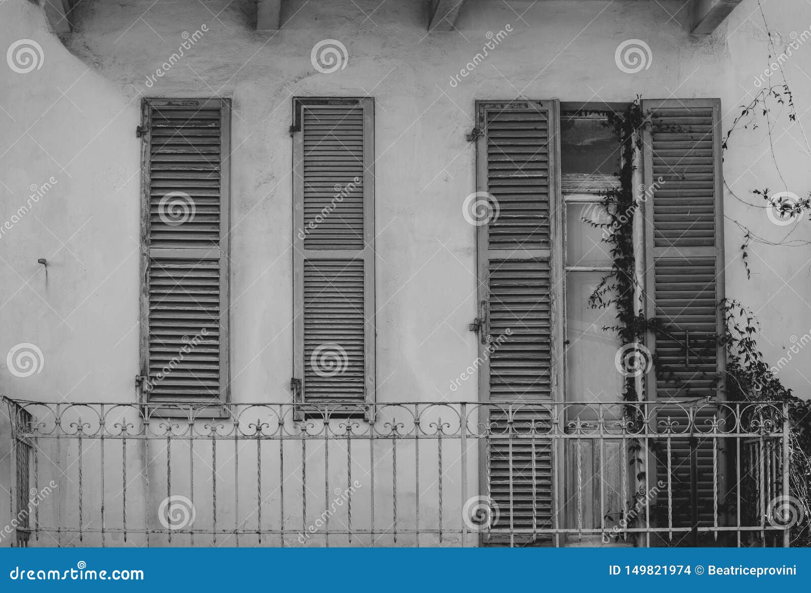 Window with Shutters Black and White Stock Photo Image of building
