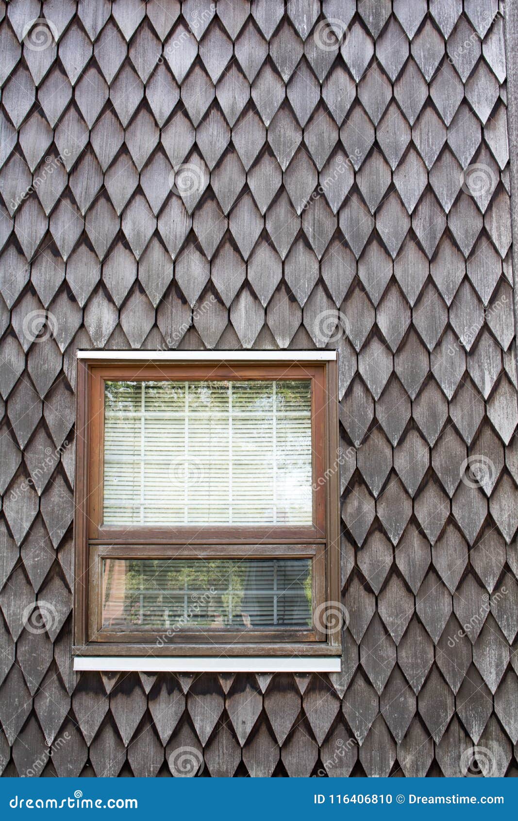 Windows in Cedar Shake Siding Stock Photo Image of extreme, siding