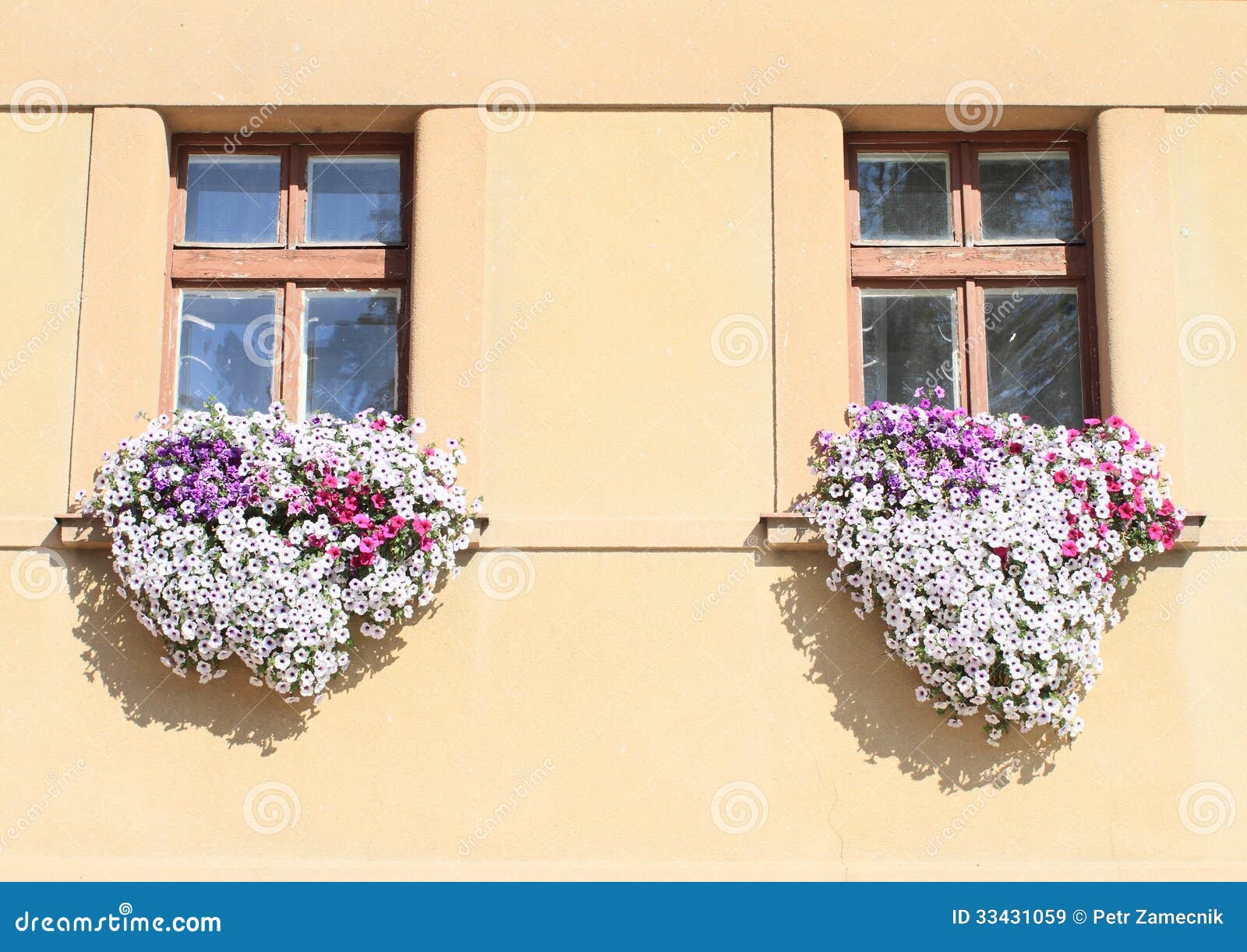 windows with lila and white flowers