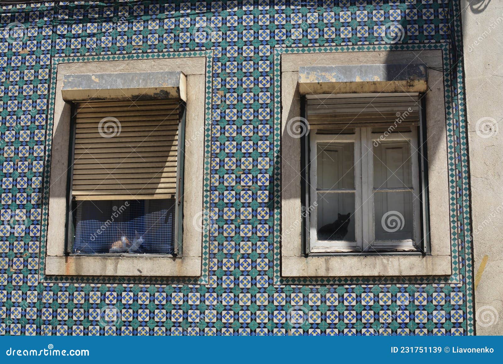 windows of lisbon. one window one cat.