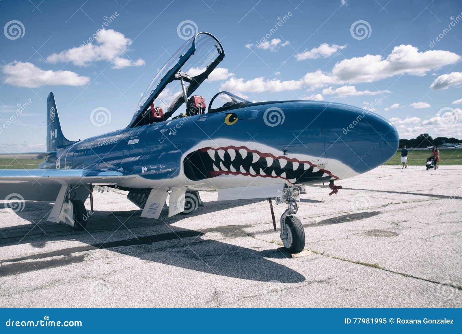 Shark Fighter Jet