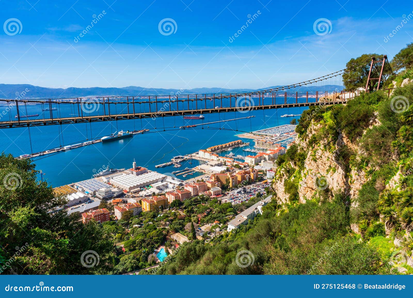Windsor Suspension Bridge, Gibraltar Stock Photo Image of bridge, architecture 275125468