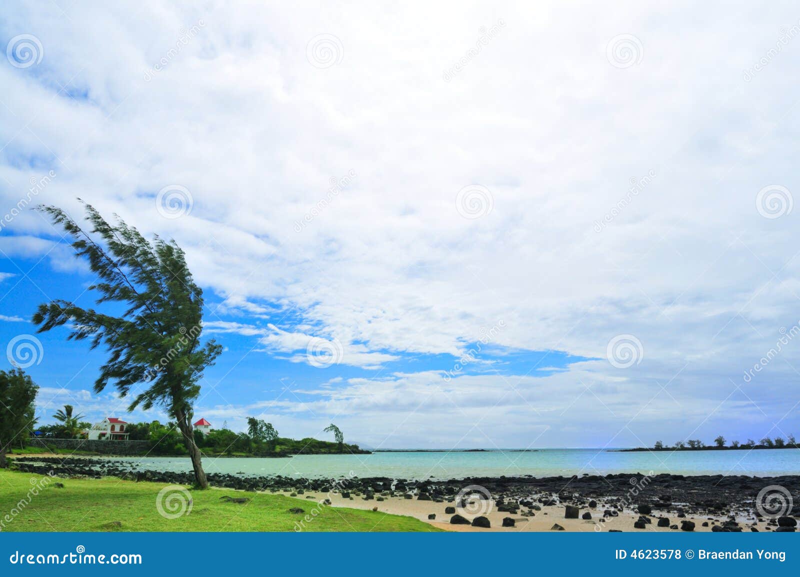 Windy stock photo. Image of seashore, blow, mauritius 4623578