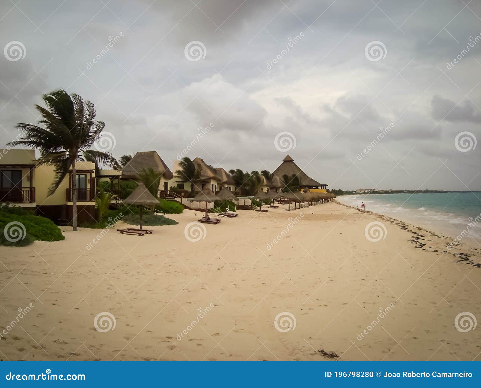 Windy Beach in Yucatan, Mexico Stock Photo Image of tree, caribbean