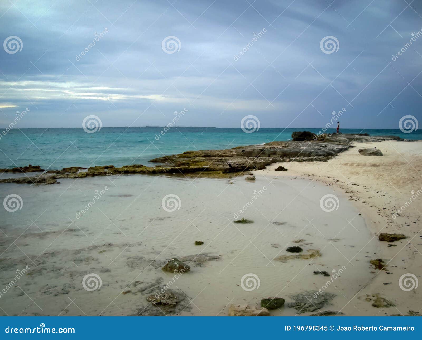 Windy Beach in Yucatan, Mexico Stock Image Image of palm, shade