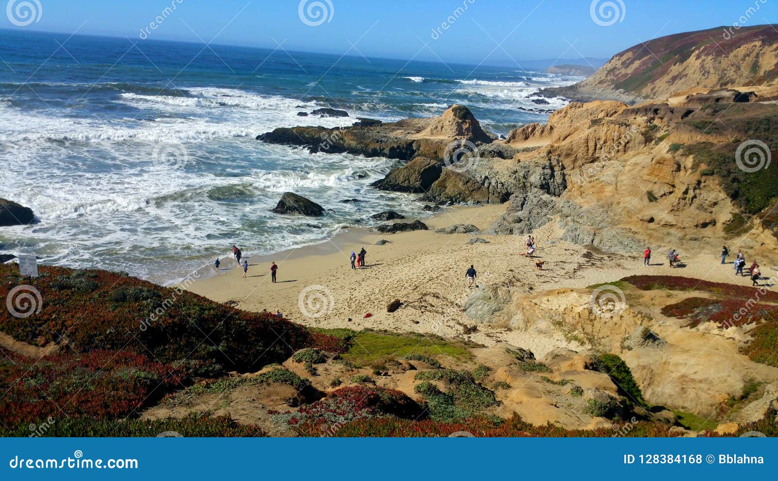 Windy Blustery Day at Bodega Bay Beach. People Still Enjoying the Day