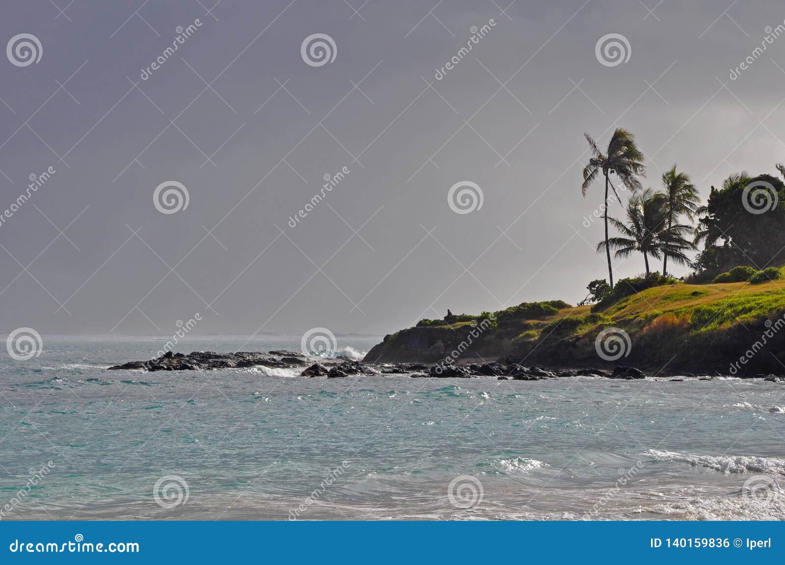 Windy Hawaiin beach stock photo. Image of sand, windy 140159836