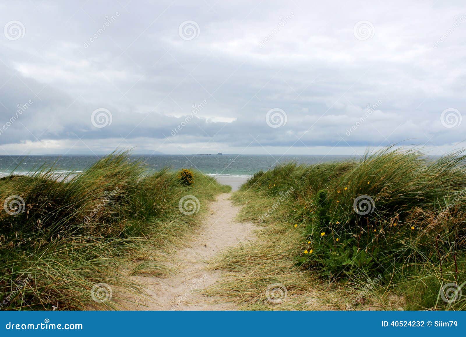 Windy Ireland, Path To the Beach Stock Photo Image of ireland, hill
