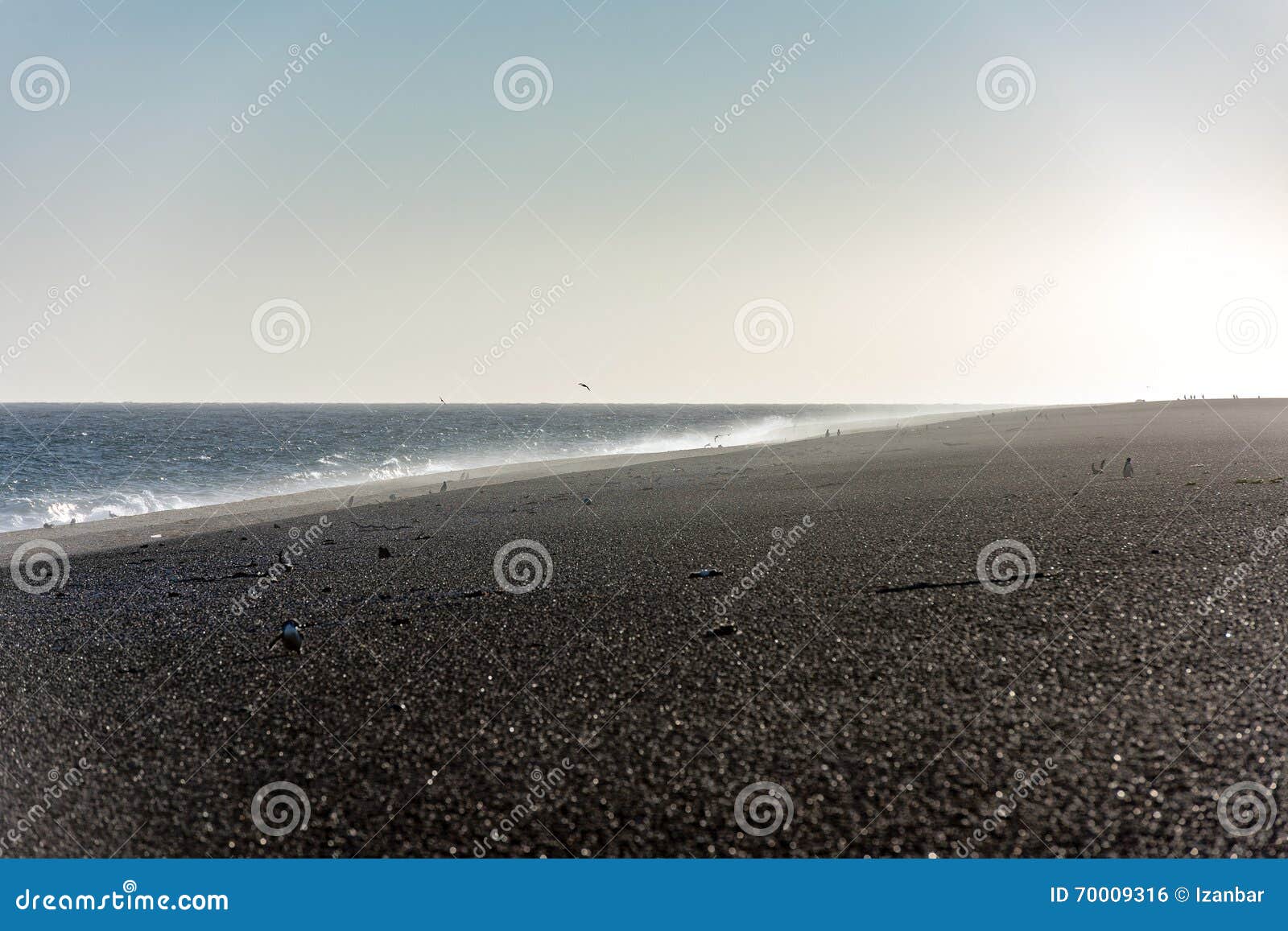 Windy Patagonia Beach with Penguins Stock Photo - Image of storm ...