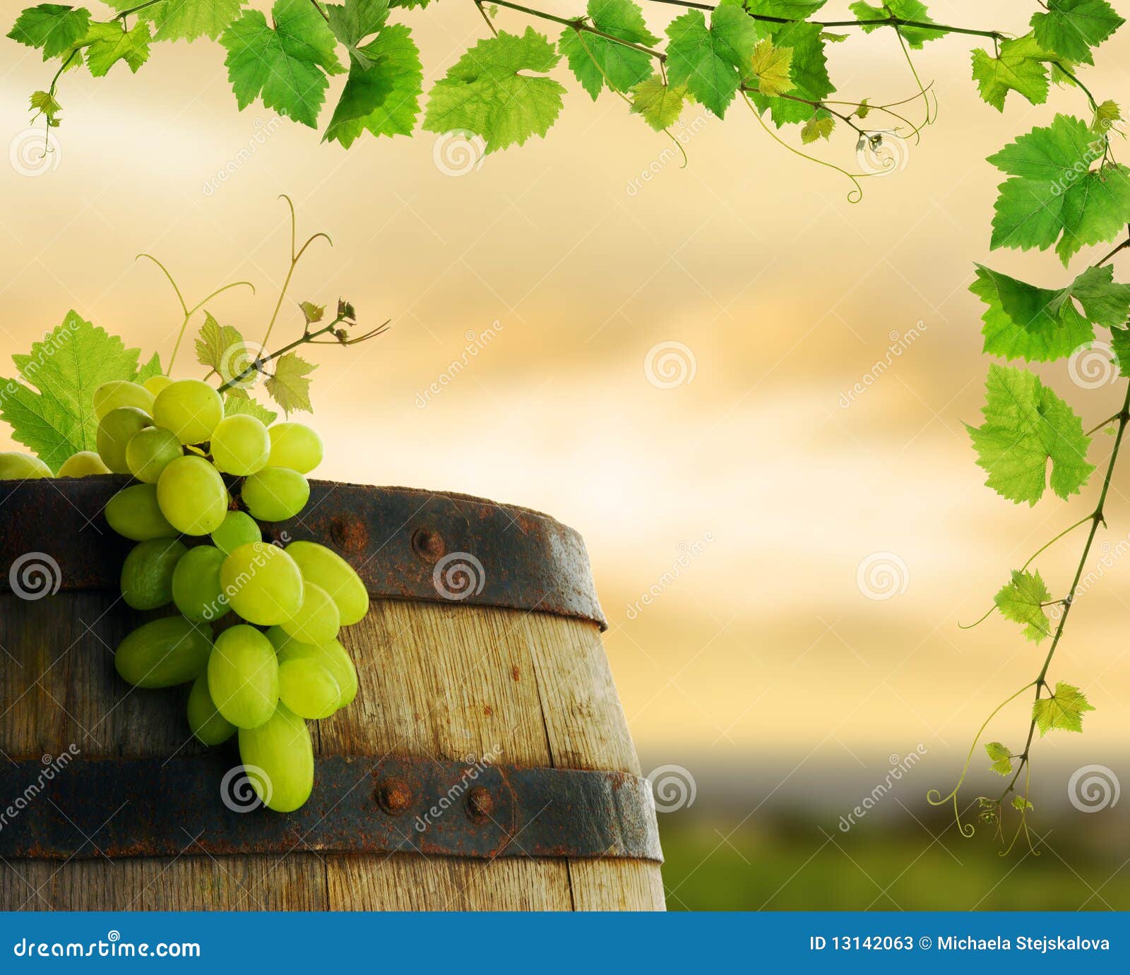 Wine Barrel with Grape and Vine Stock Image Image of border