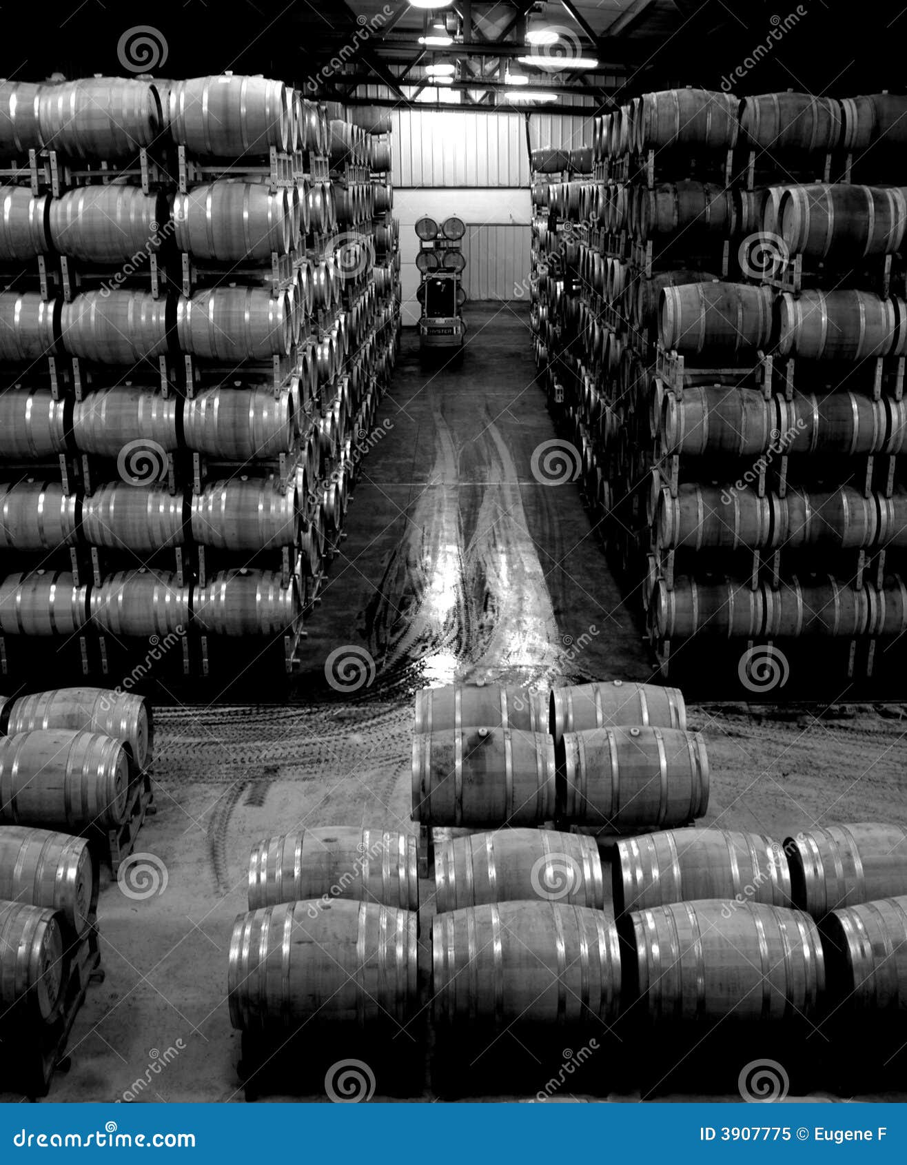 Wine Barrel Warehouse stock image. Image of storage, cylinder 3907775