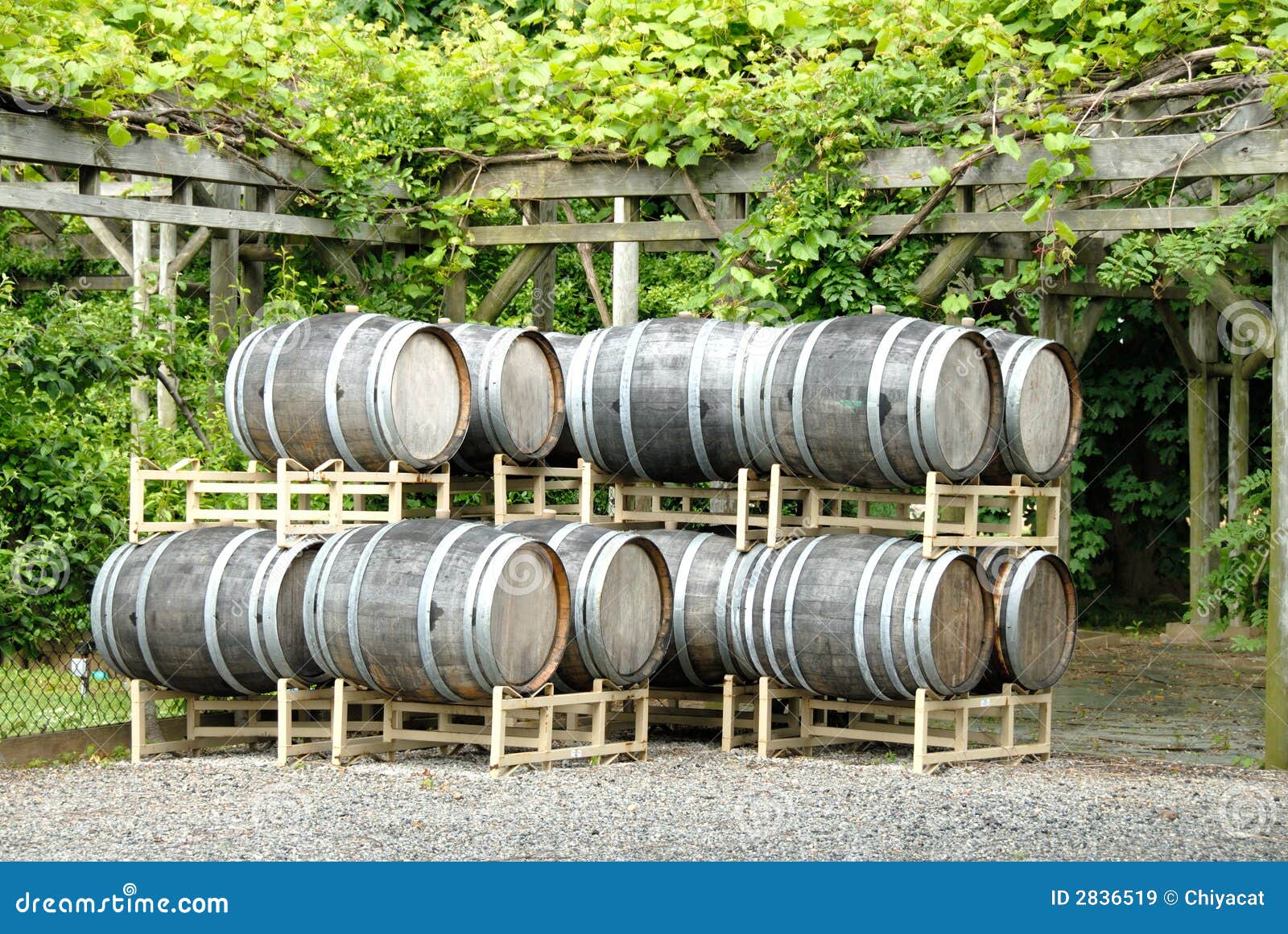 Wine Barrels stock image. Image of barrel, storage, trellis 2836519