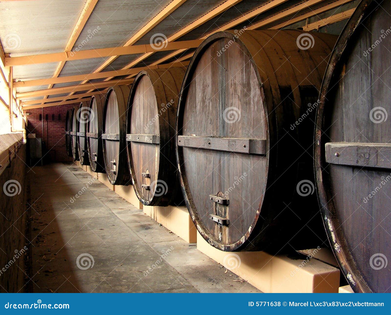 Wine Barrels stock photo. Image of barossa, barrel, australia 5771638