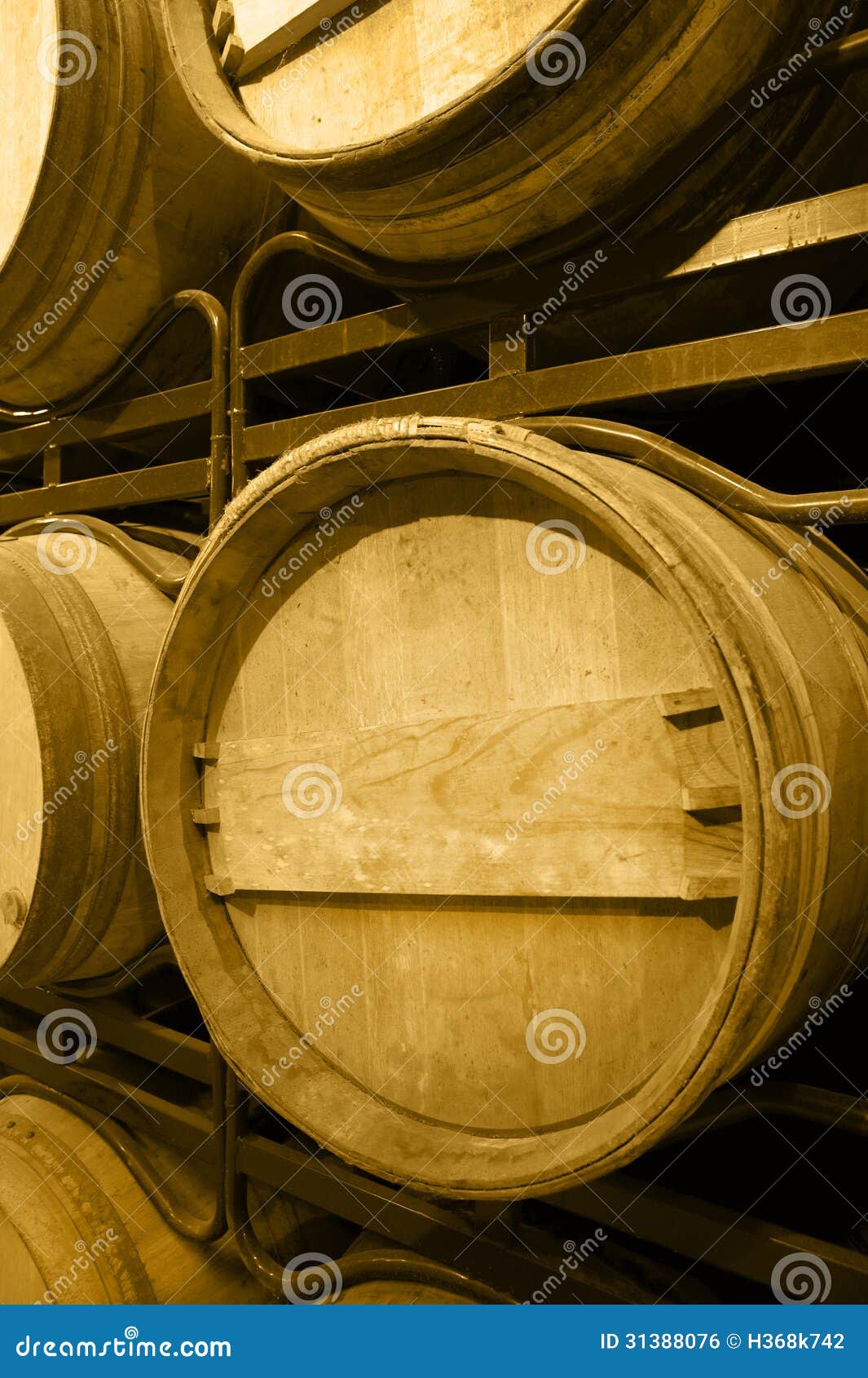 Wine Barrels in an Aging Cellar Stock Photo Image of traditional
