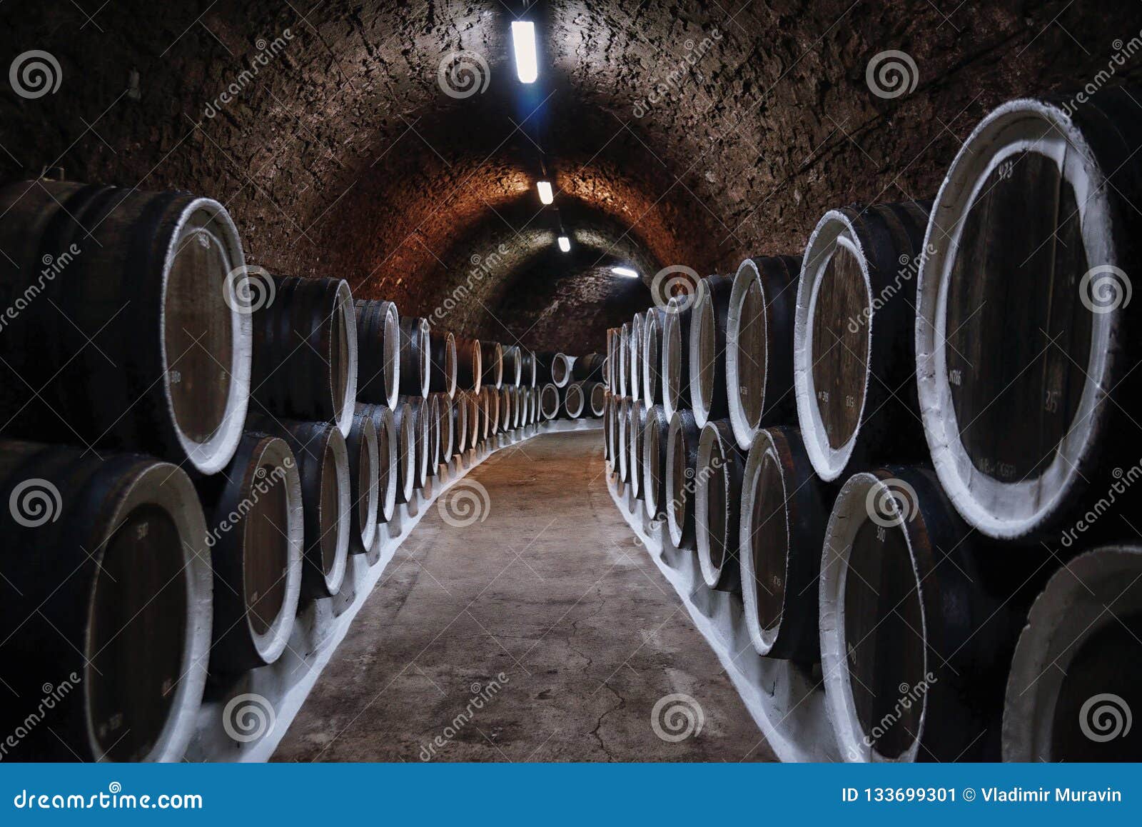 Wine Barrels in the Basement Stock Image Image of barrel, wine 133699301