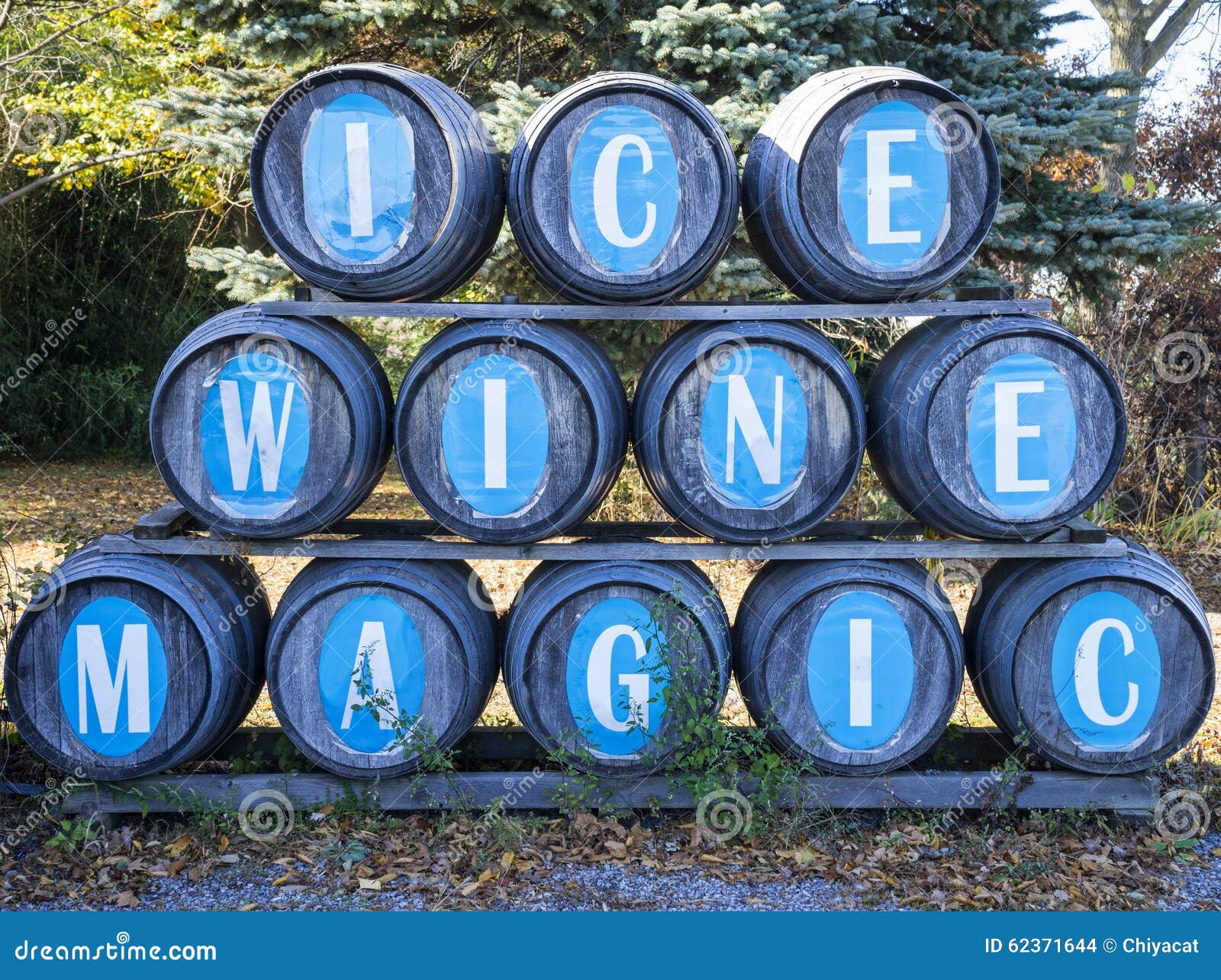 Wine Barrels in an Ice Wine Winery Stock Photo Image of beverage
