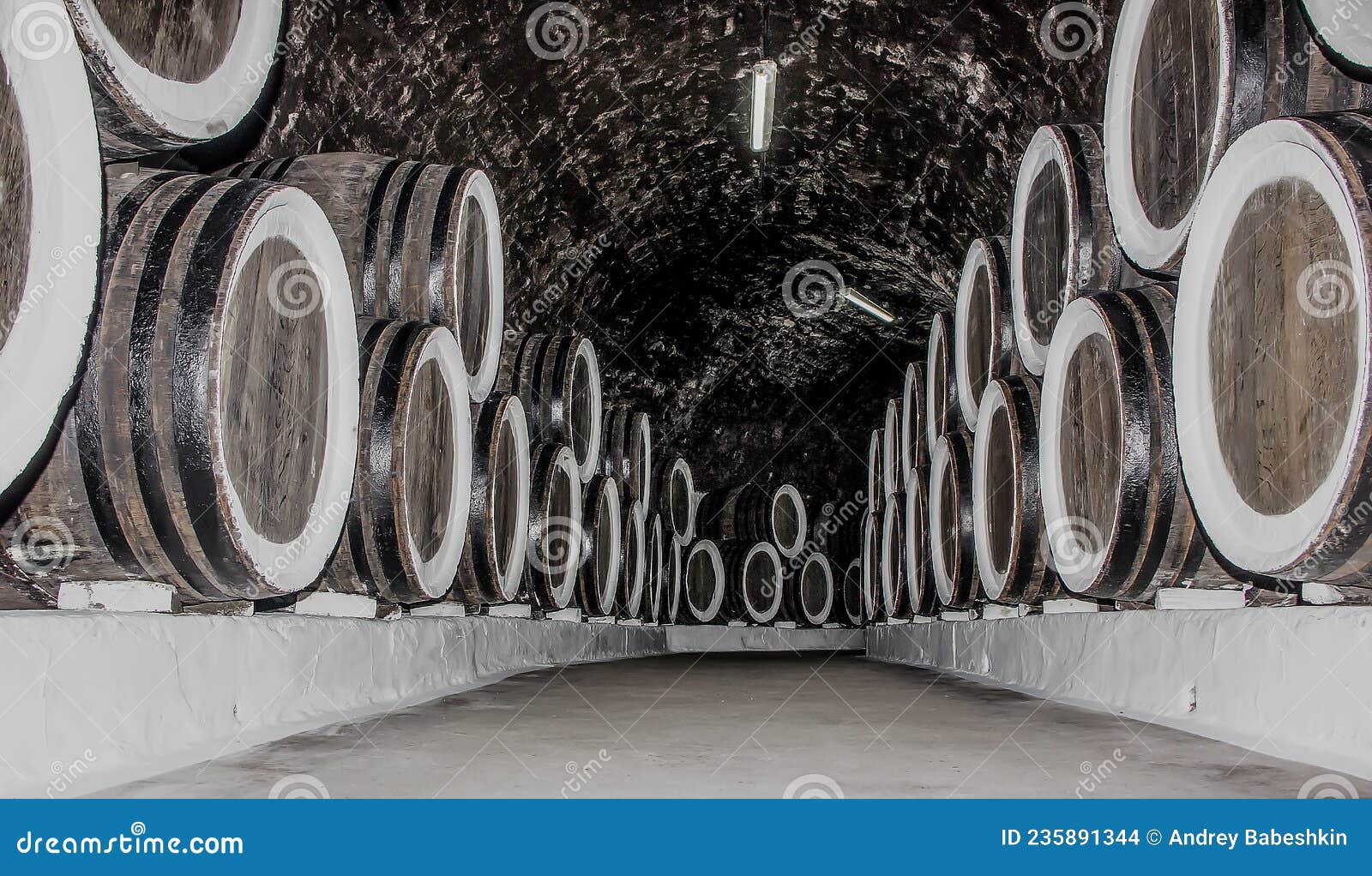 Barrels of Wine in Rows in the Underground Storage Stock Photo Image