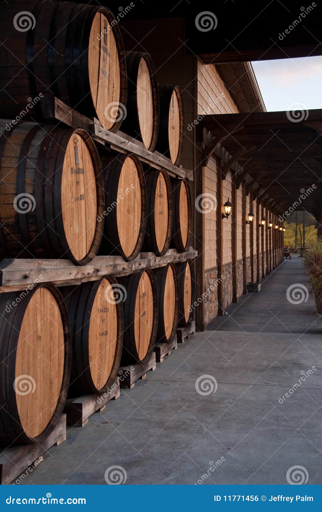 Wine barrels in winery stock photo. Image of indoors 11771456