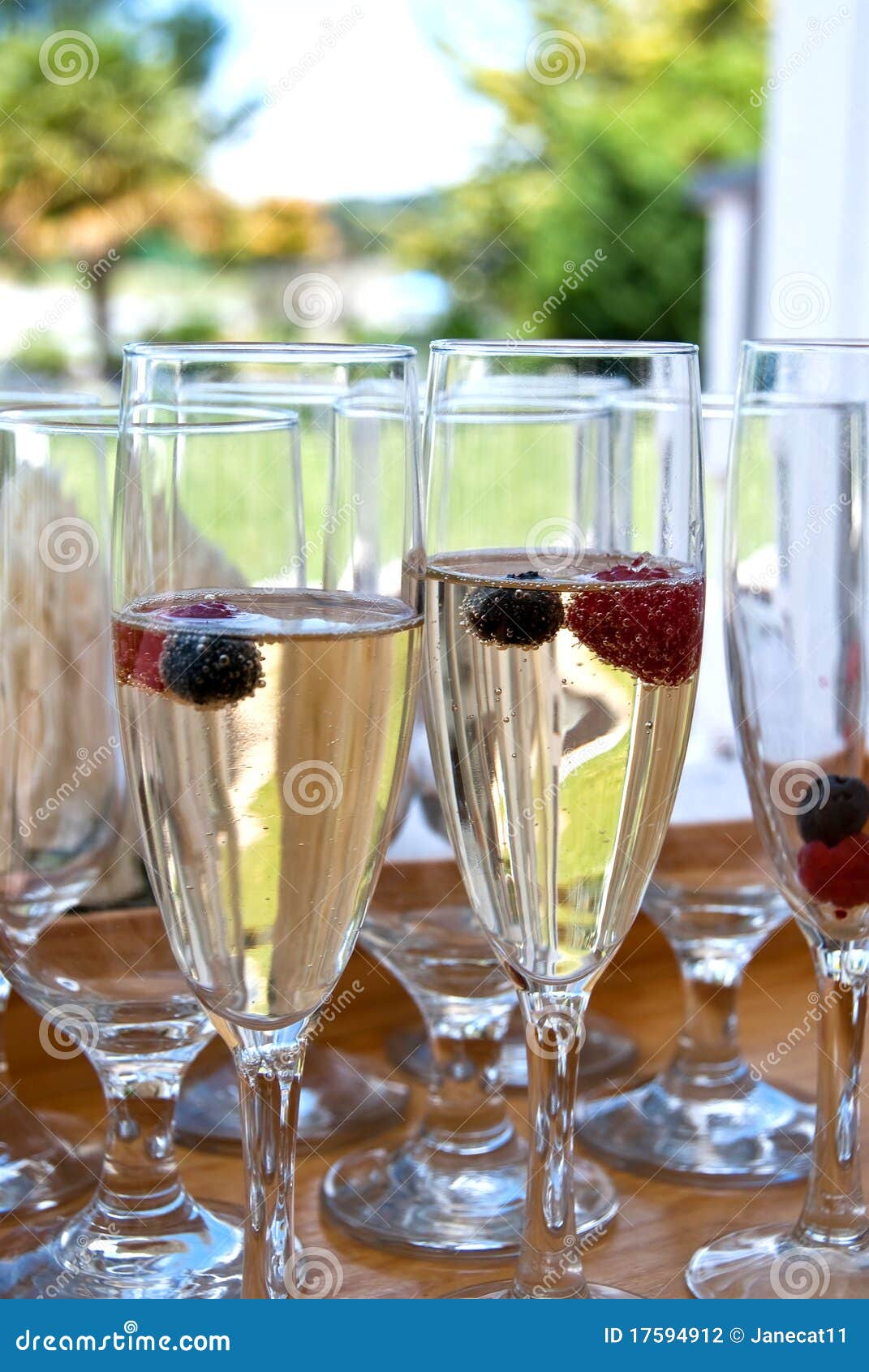 Wine and Berries in Glasses Stock Photo Image of celebration, picnic