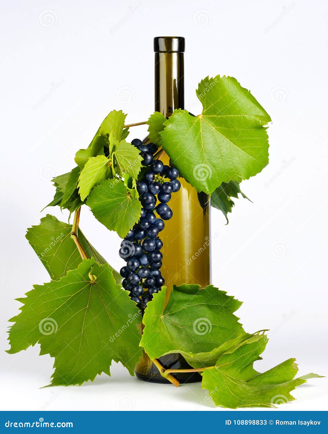 Wine Bottle in Grape Leaves Stock Image Image of vine, drink 108898833