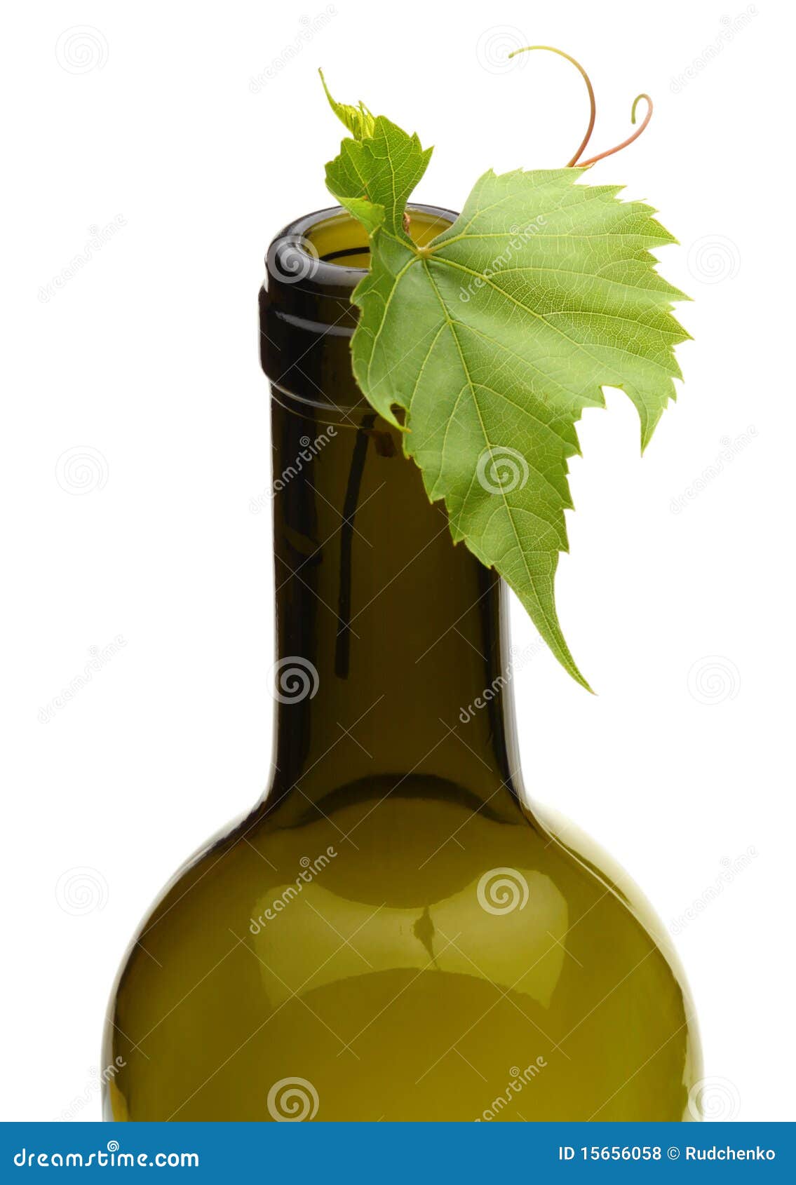 Wine bottle and grape vine stock photo. Image of season 15656058