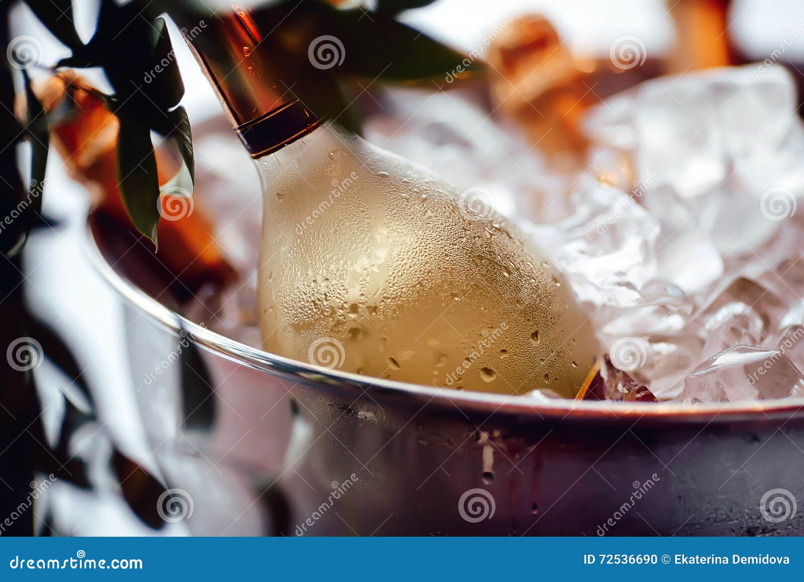 wine bottle in ice bucket