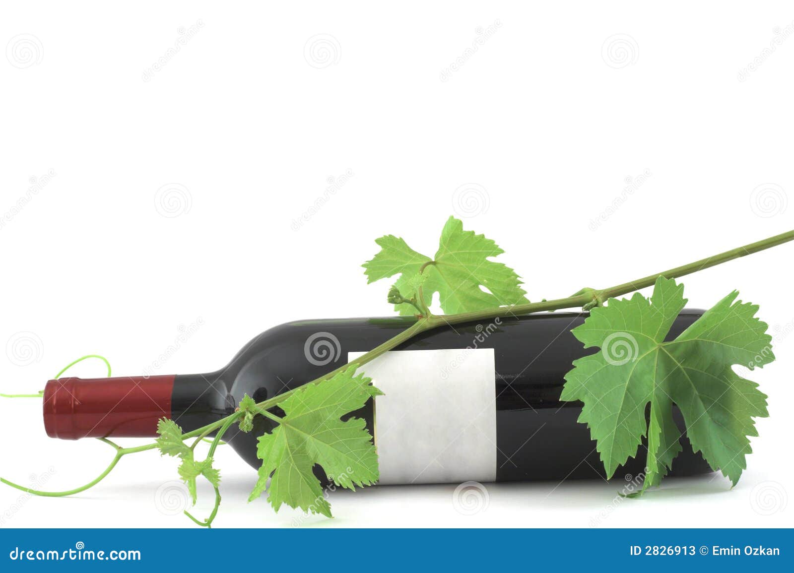 Wine Bottle and Vine Leaves Stock Image Image of vine, isolated 2826913