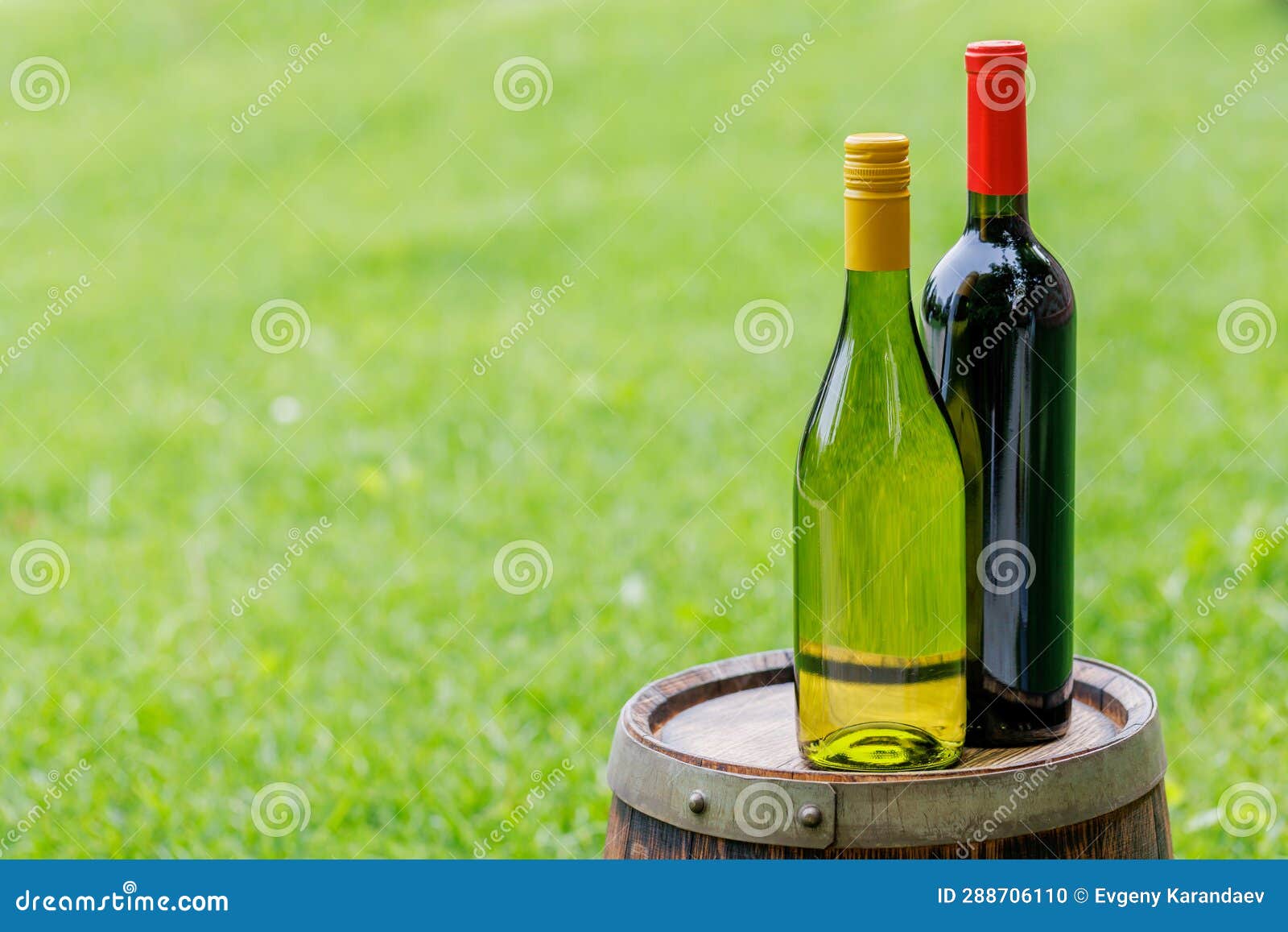 Wine bottles on barrel stock photo. Image of barrel 288706110