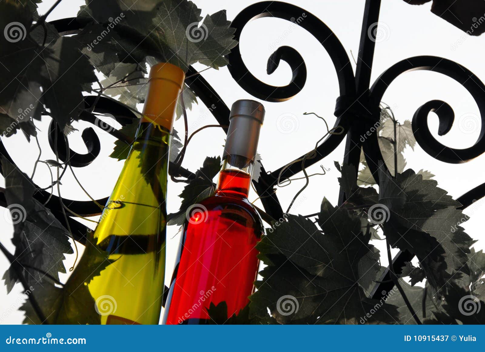 Wine Bottles between Vine Leaves Stock Image Image of branch, luxury