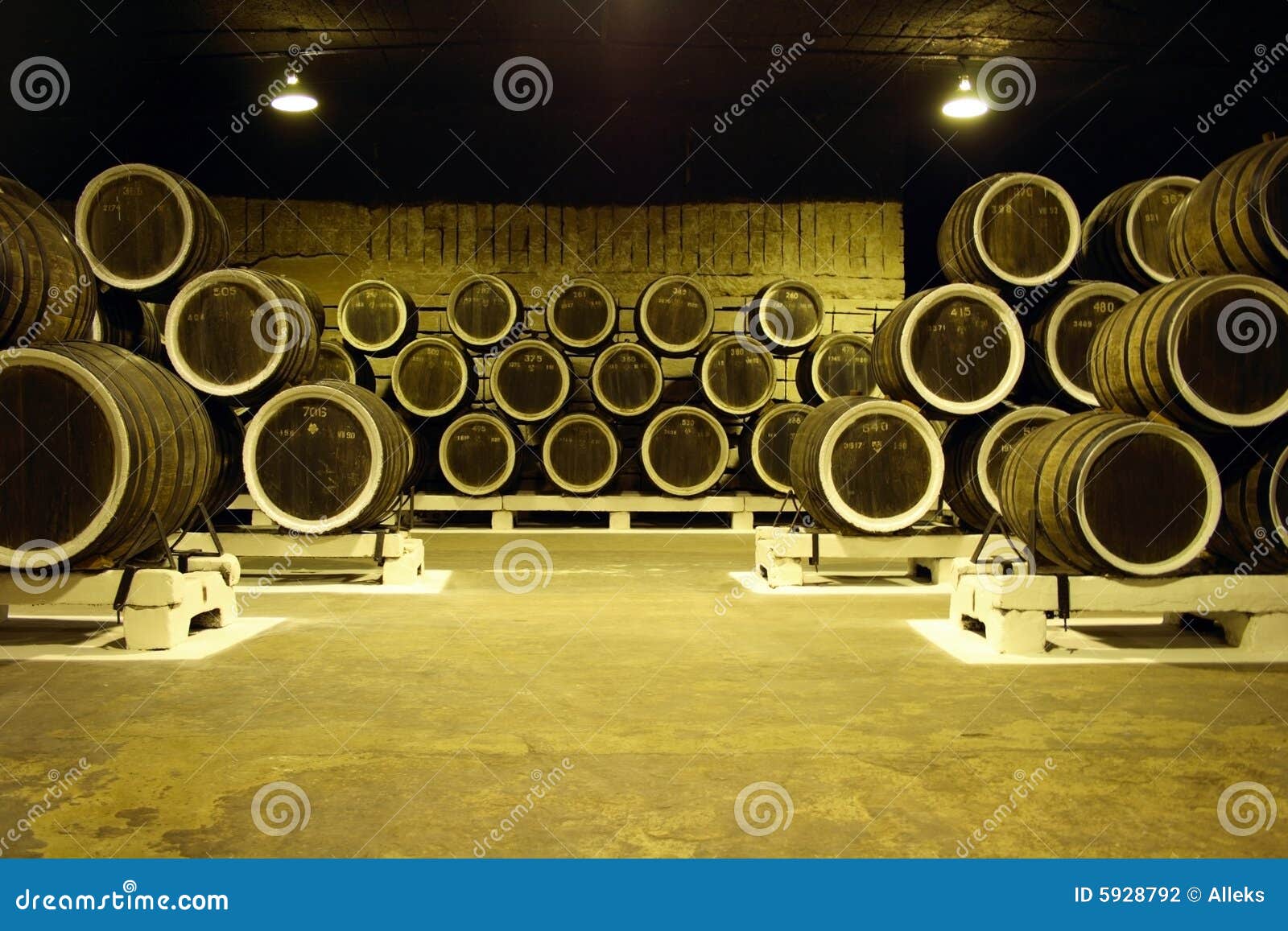 Wine cellar stock photo. Image of fermenting, wine, sepia 5928792
