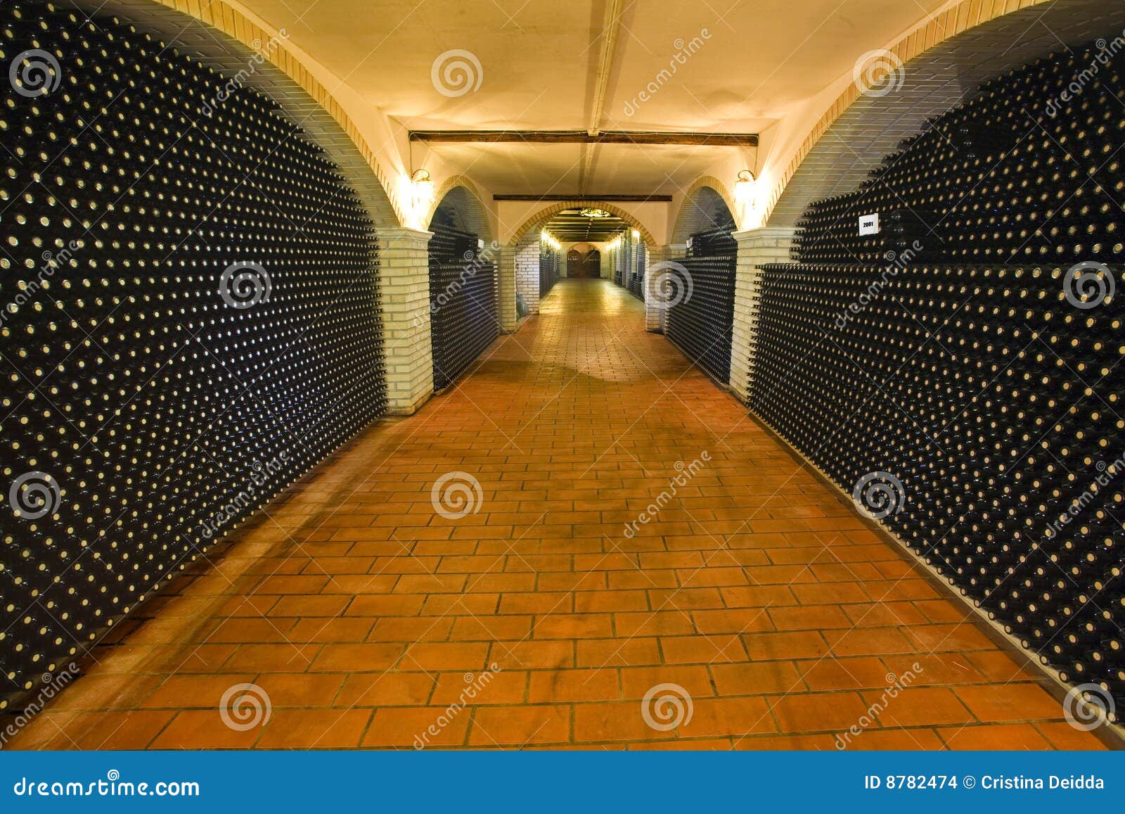Wine cellar stock photo. Image of original, family, brisbane 8782474