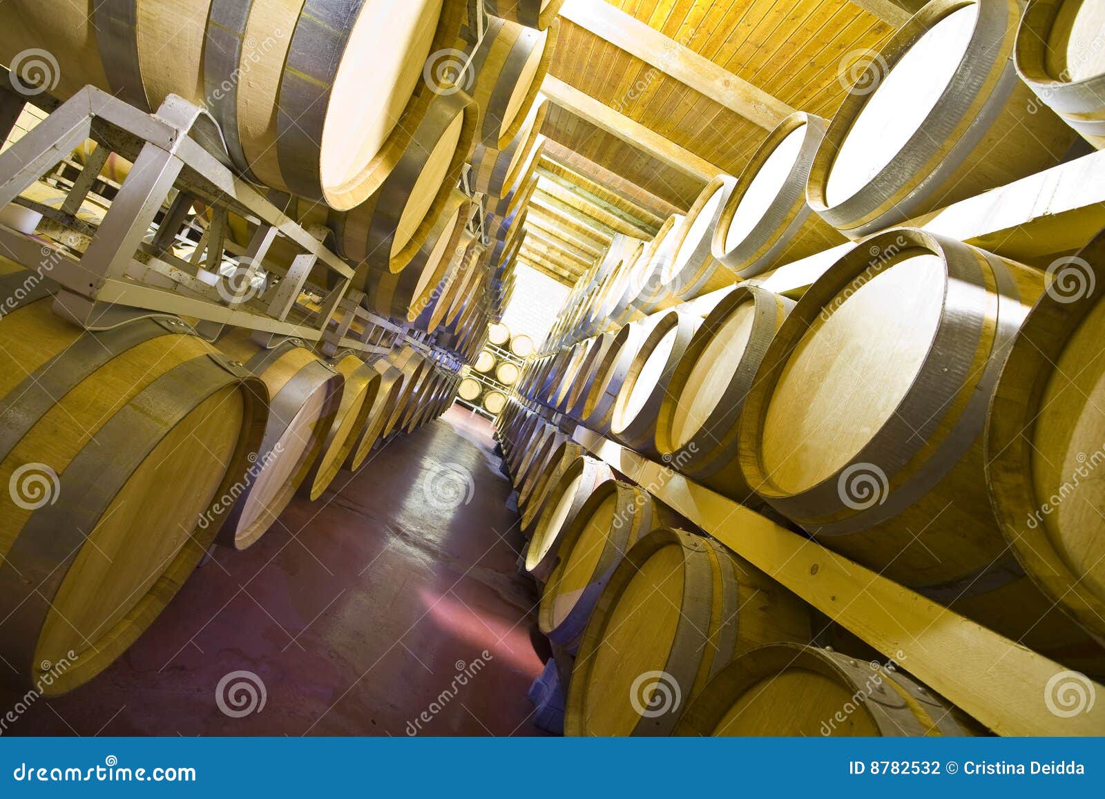 Wine cellar stock photo. Image of chosen, barrel, production 8782532