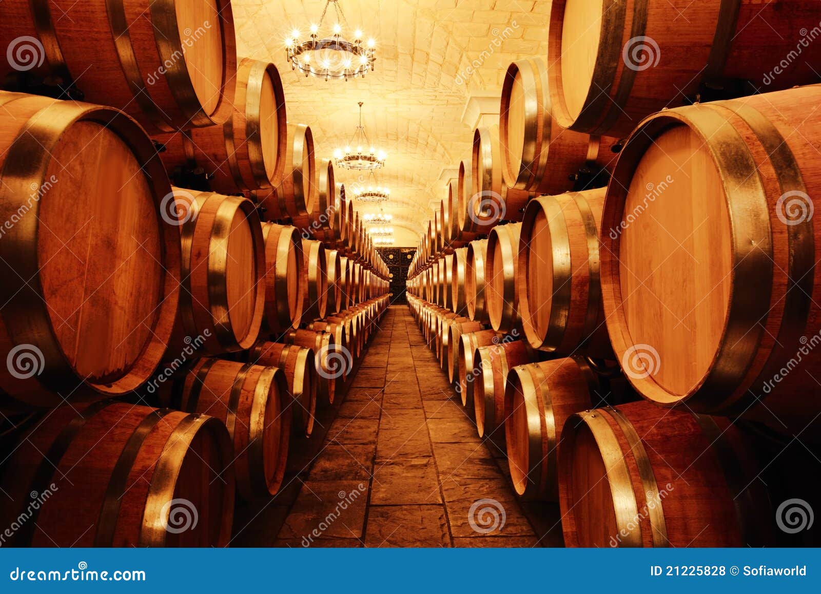 Wine cellar with barrels stock photo. Image of wine, restaurant 21225828