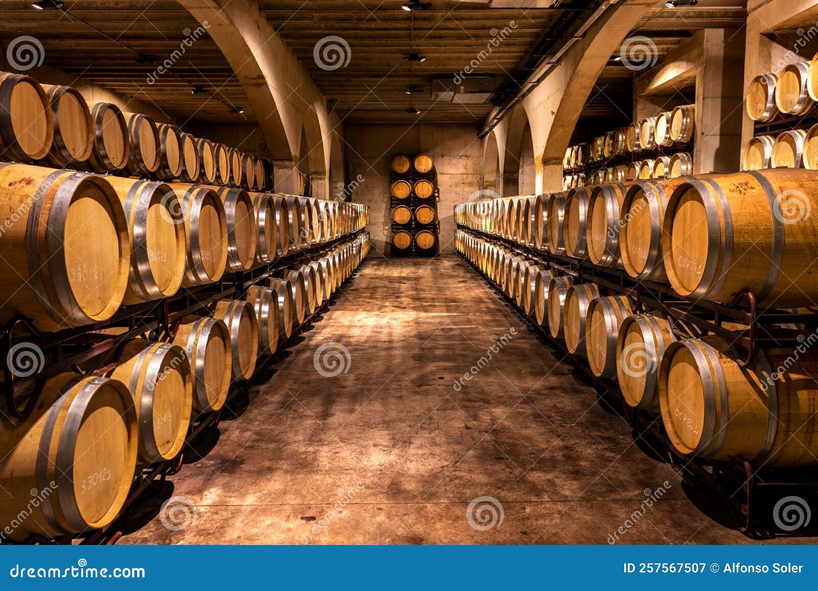 Wine Cellar. Wine Barrels in a Winery in Spain Stock Image Image of