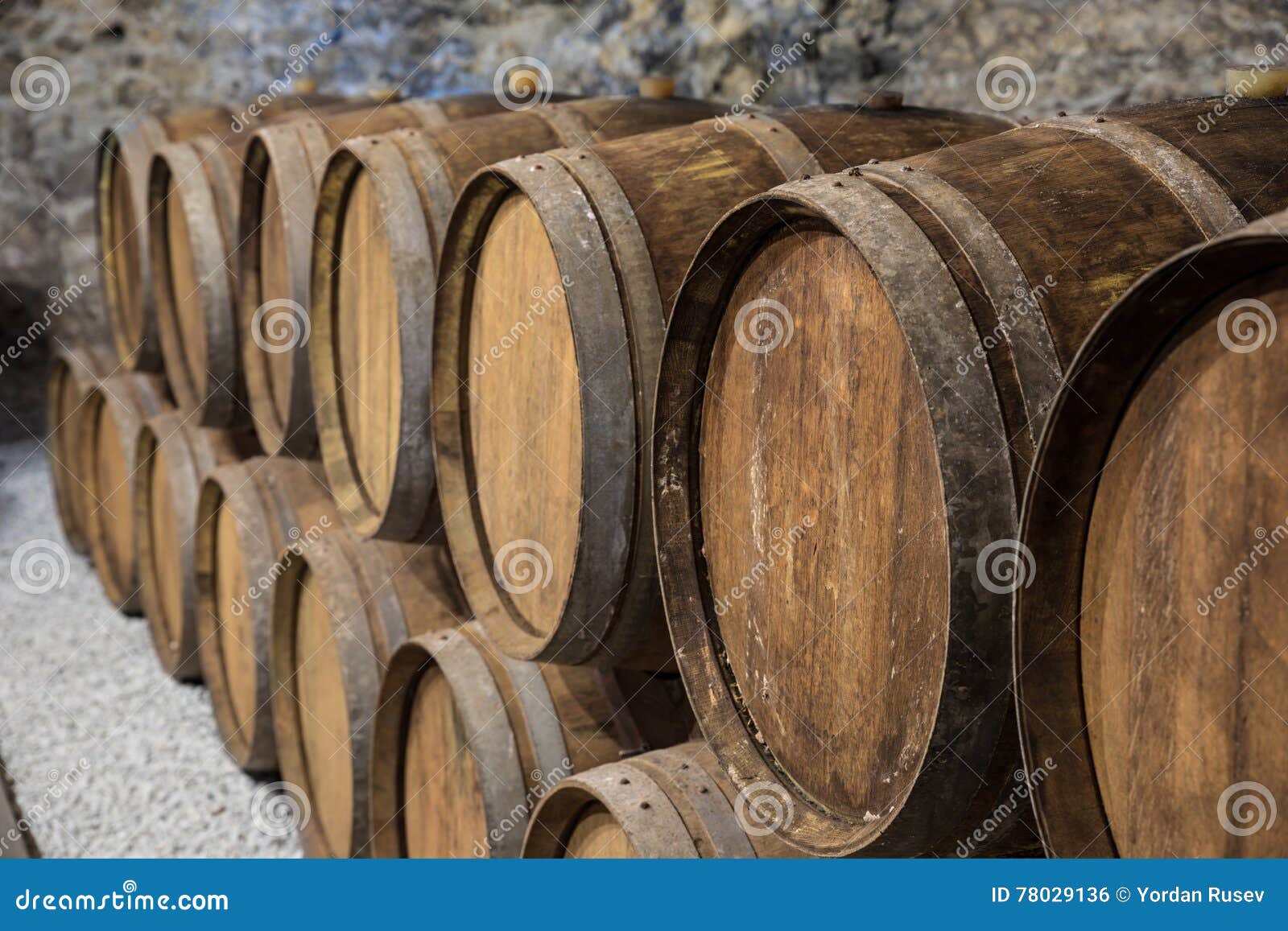 Wine Cellar with Oak Barrels Stock Photo Image of cask, alcoholic