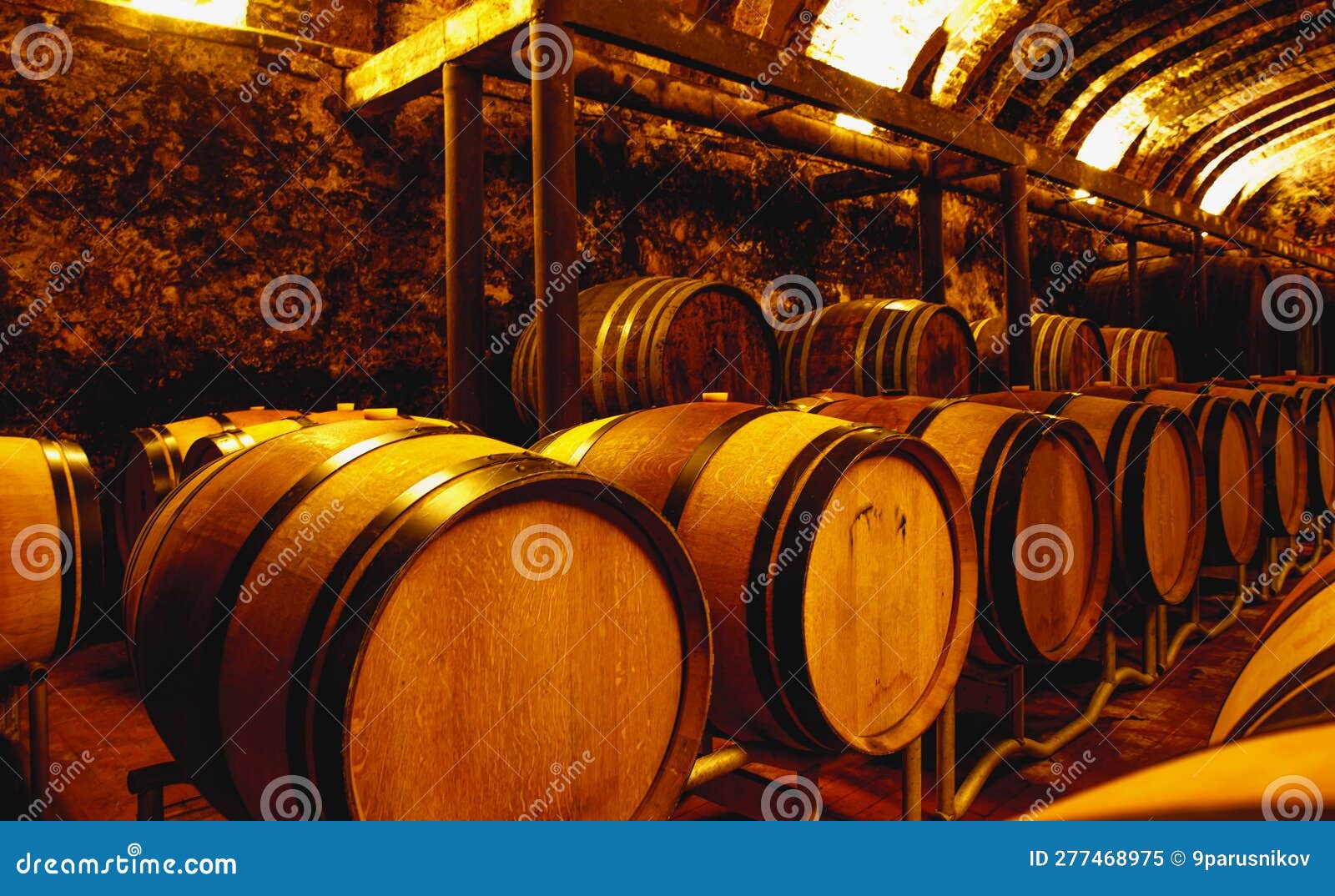 Wine Cellar with Oak Barrels. Stock Image Image of taste, beverage