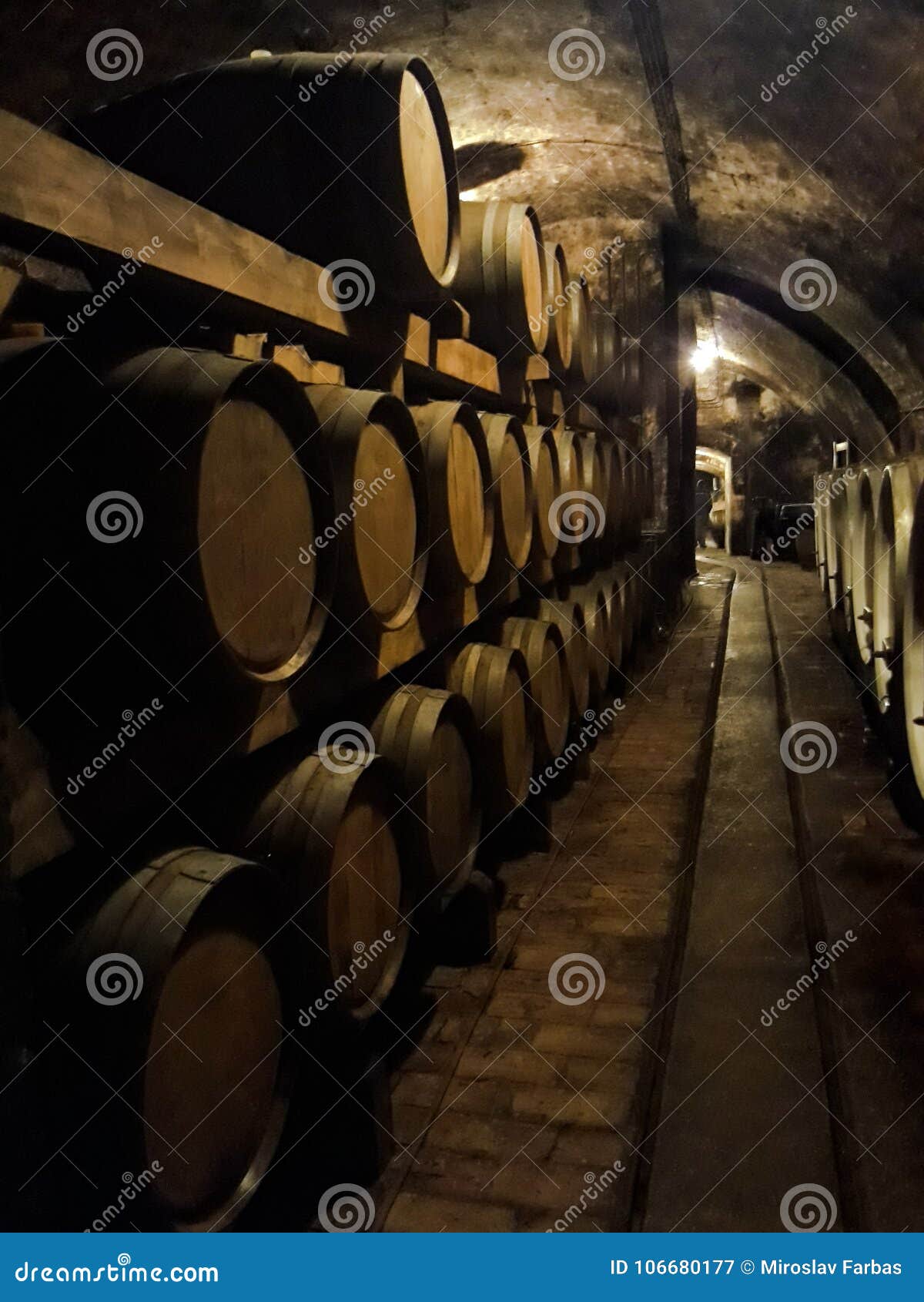 Wine cellar stock image. Image of wine, cellar, years 106680177