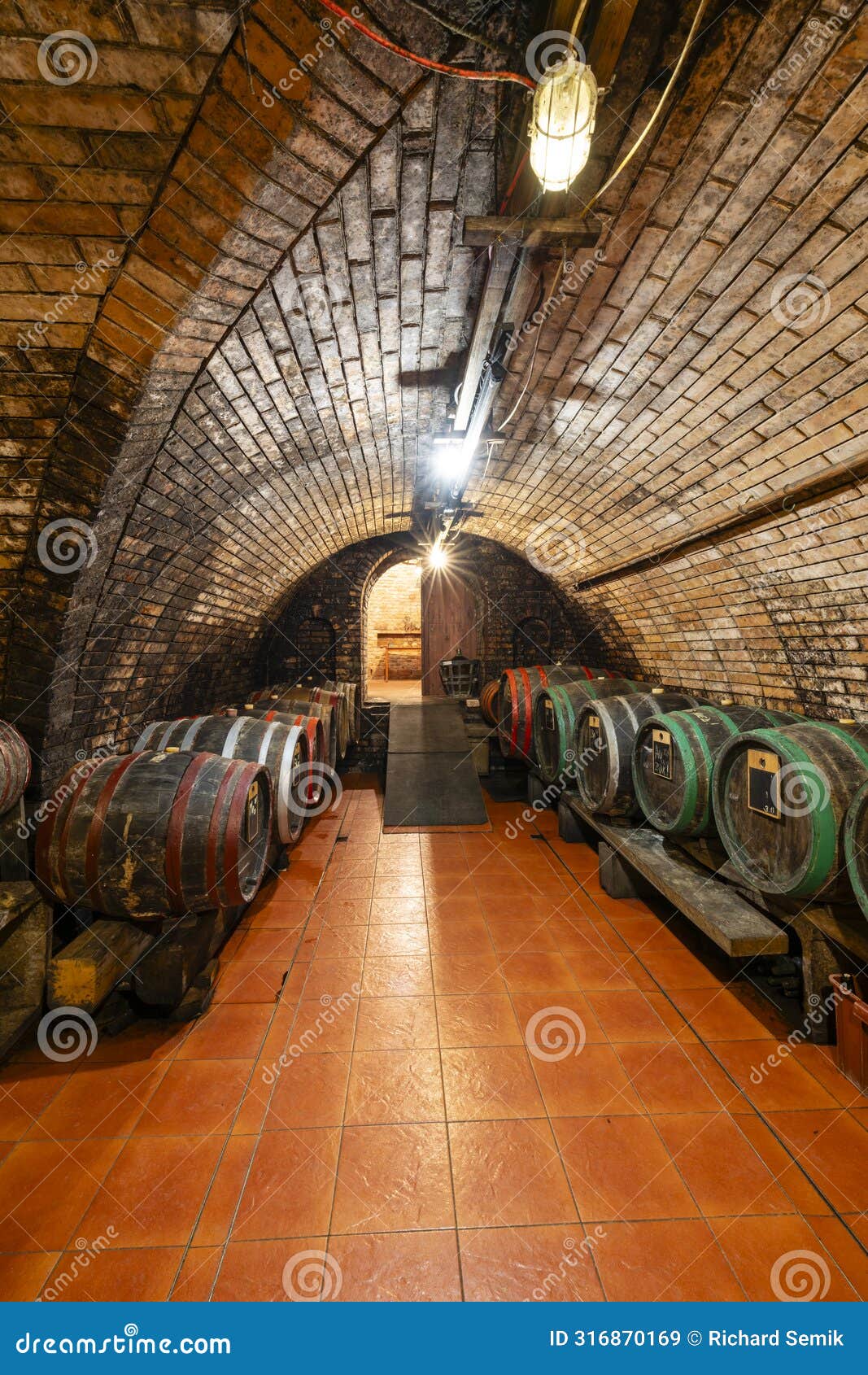 wine cellars with barrels in ivan, southern moravia, czech republic