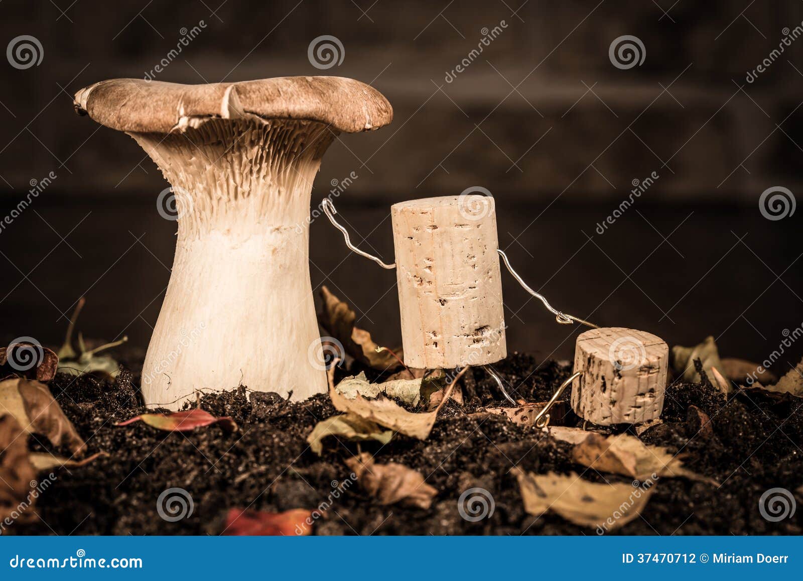 wine cork figures, concept father explain fungal knowledge