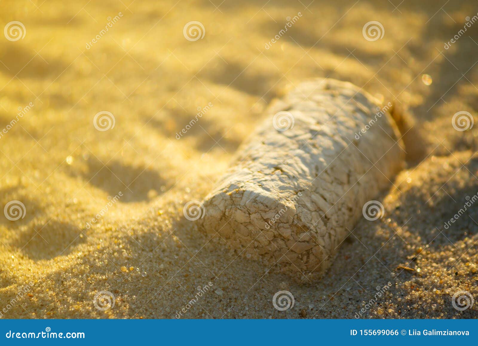 Wine cork on the sand stock photo. Image of plug, brown 155699066